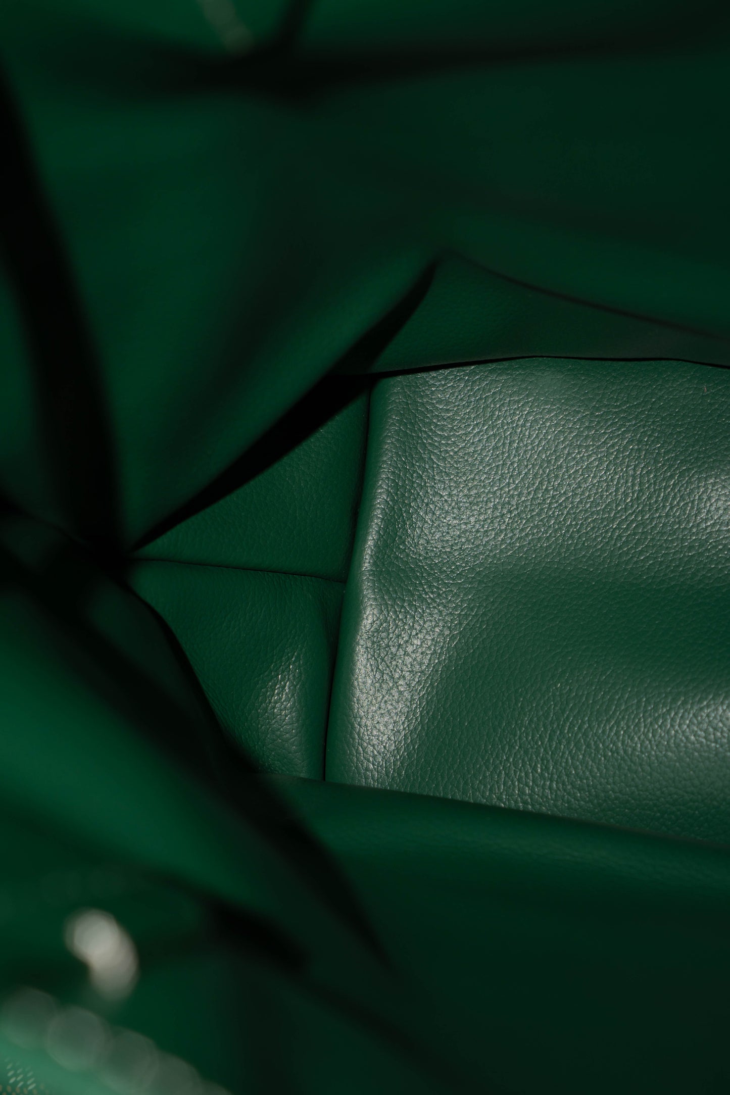 Mini Anjou – Green Goyrdine Canvas