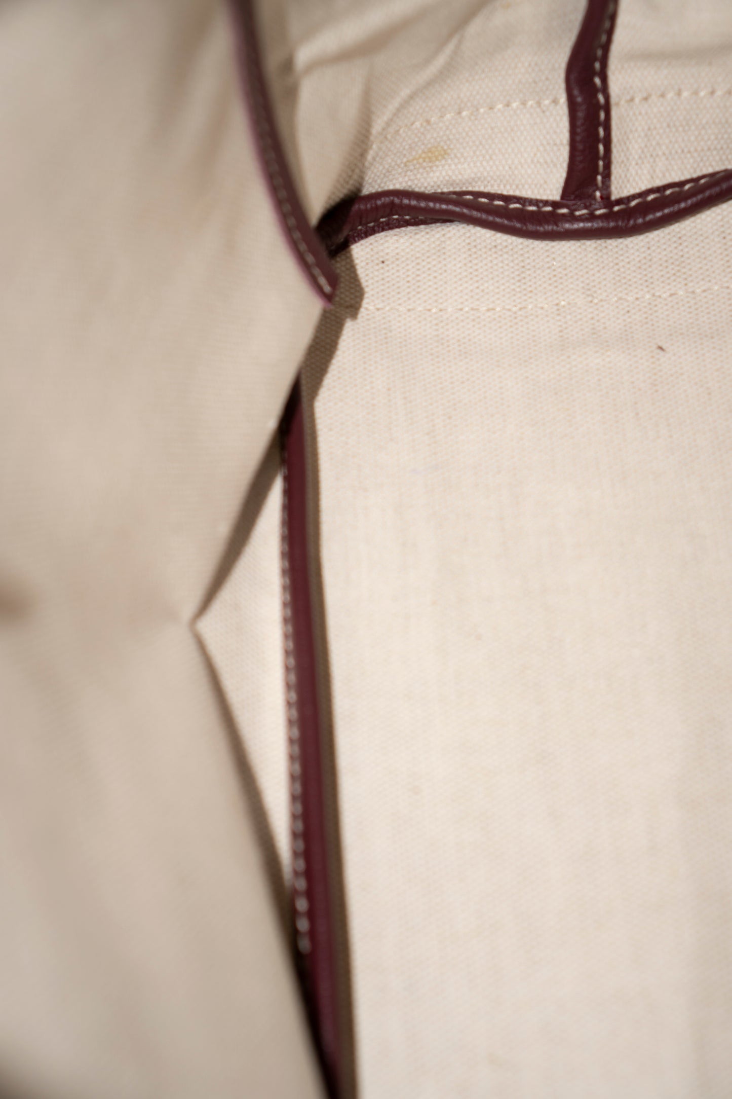 Artois PM – Burgundy Trim Coated Canvas Tote