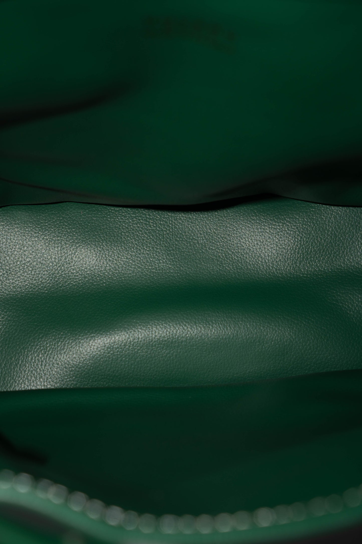 Mini Anjou – Green Goyrdine Canvas