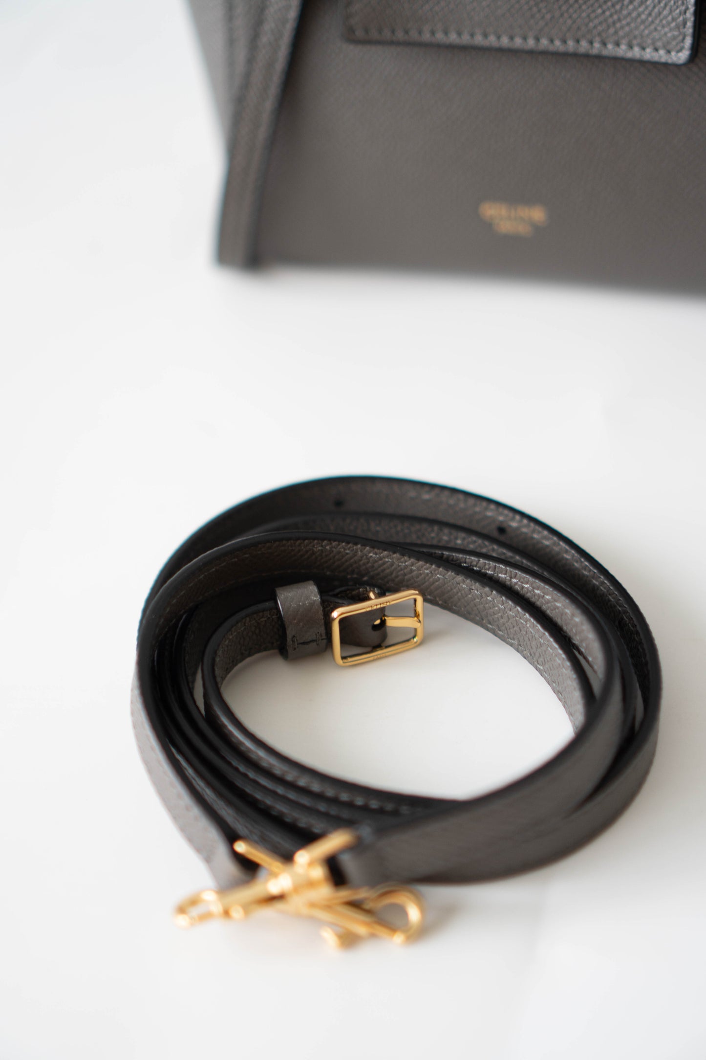 Pico Belt in Grey Calfskin with Gold Hardware