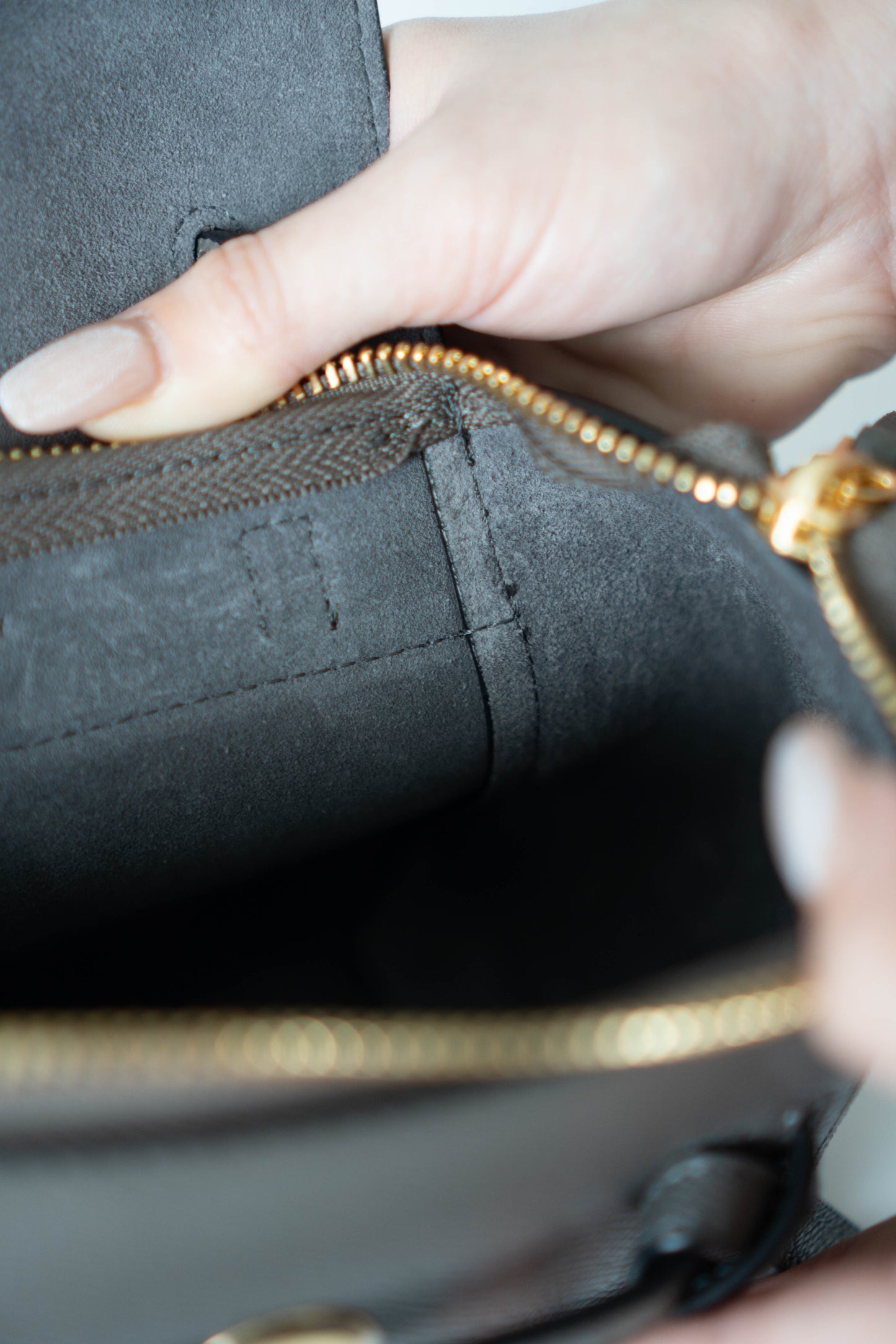Pico Belt in Grey Calfskin with Gold Hardware