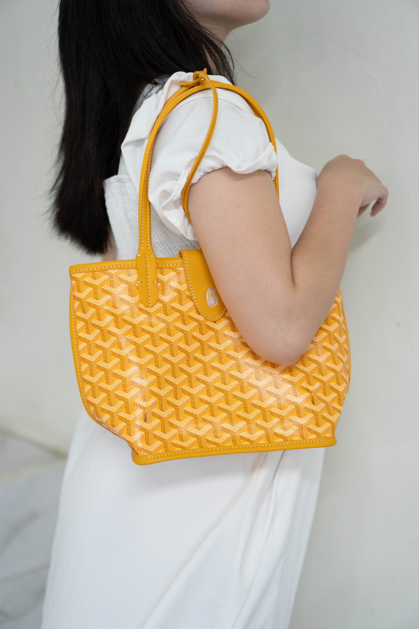 Mini Anjou – Yellow Goyrdine Canvas