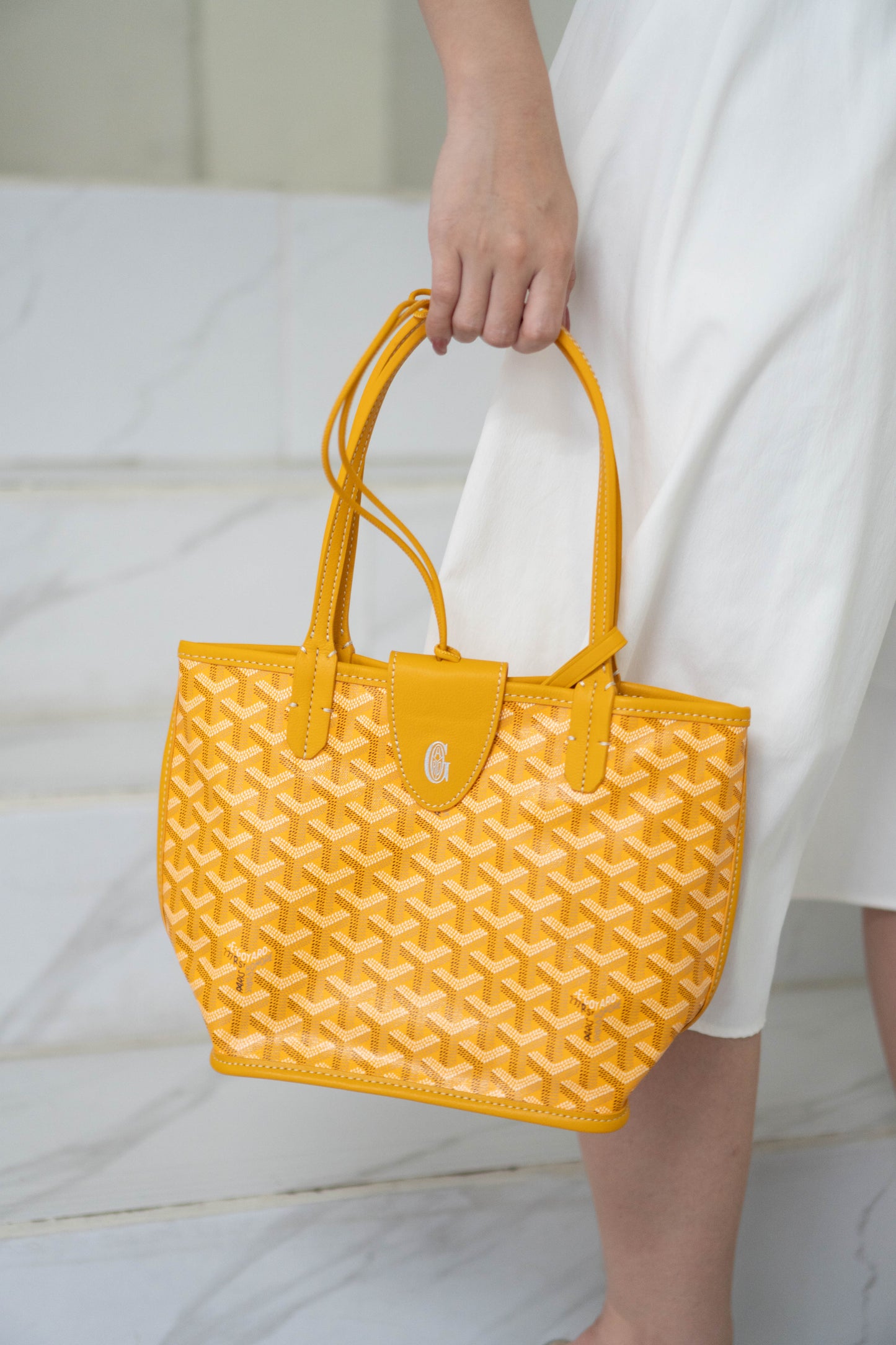 Mini Anjou – Yellow Goyrdine Canvas