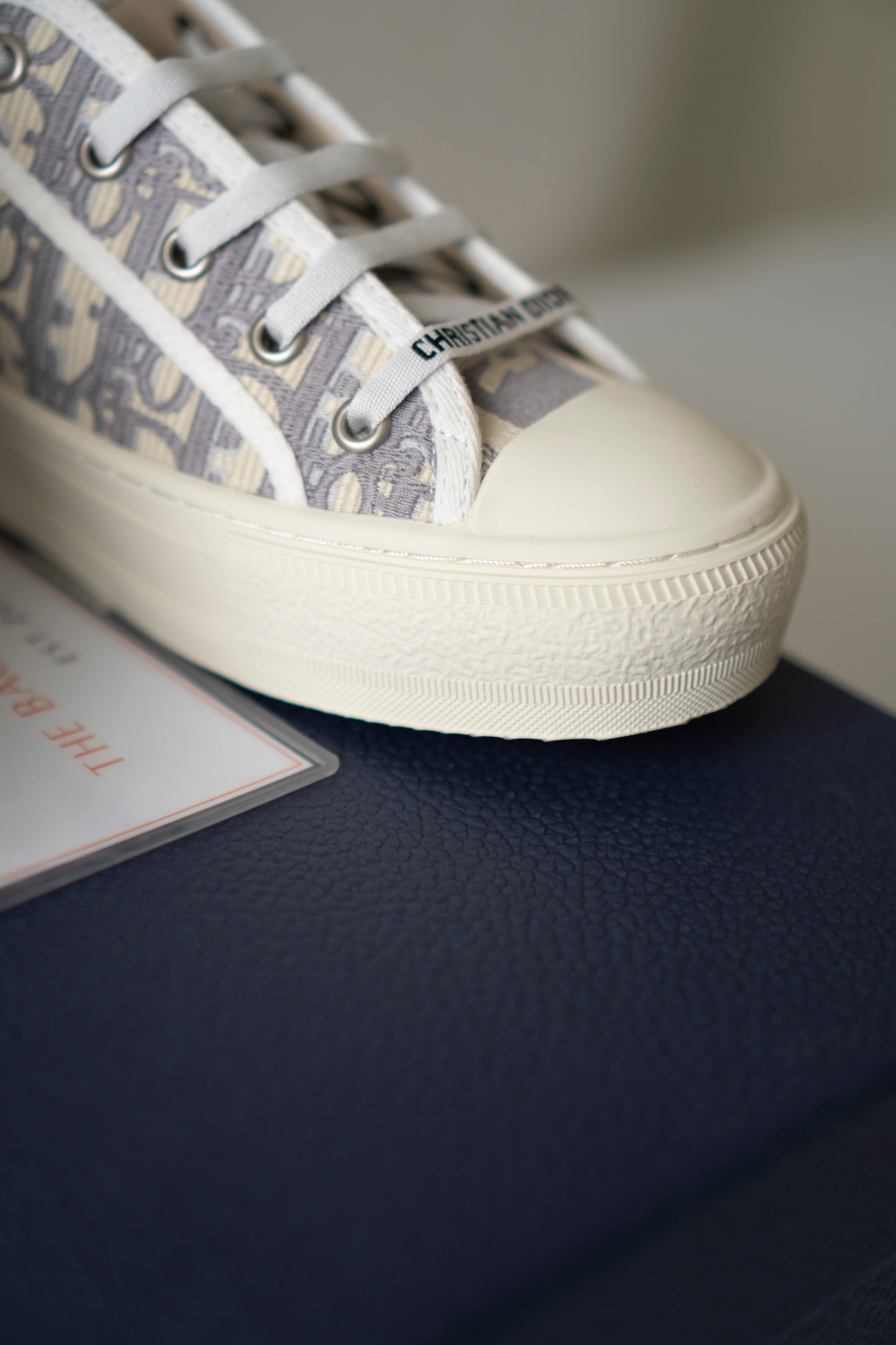 Embroidered Canvas Low-Top Sneakers – Stone Gray