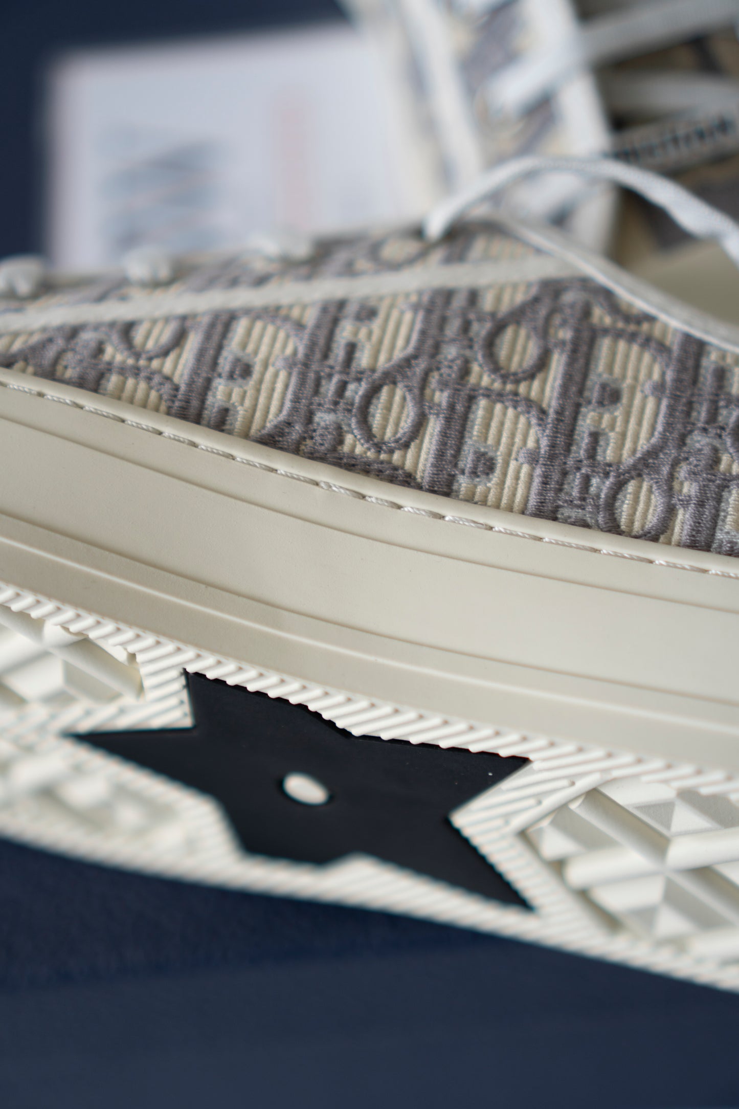 Embroidered Canvas Low-Top Sneakers – Stone Gray