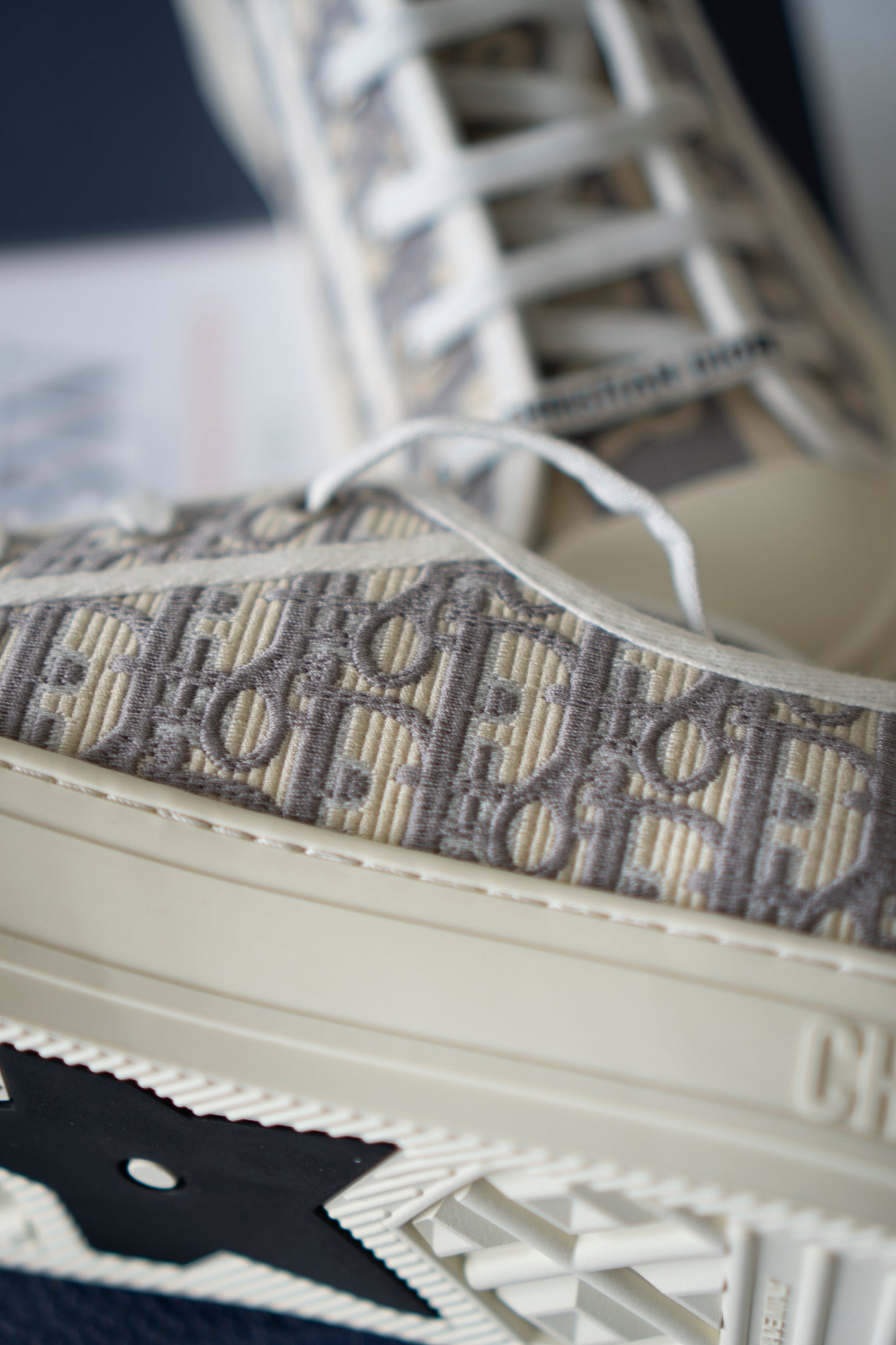 Embroidered Canvas Low-Top Sneakers – Stone Gray