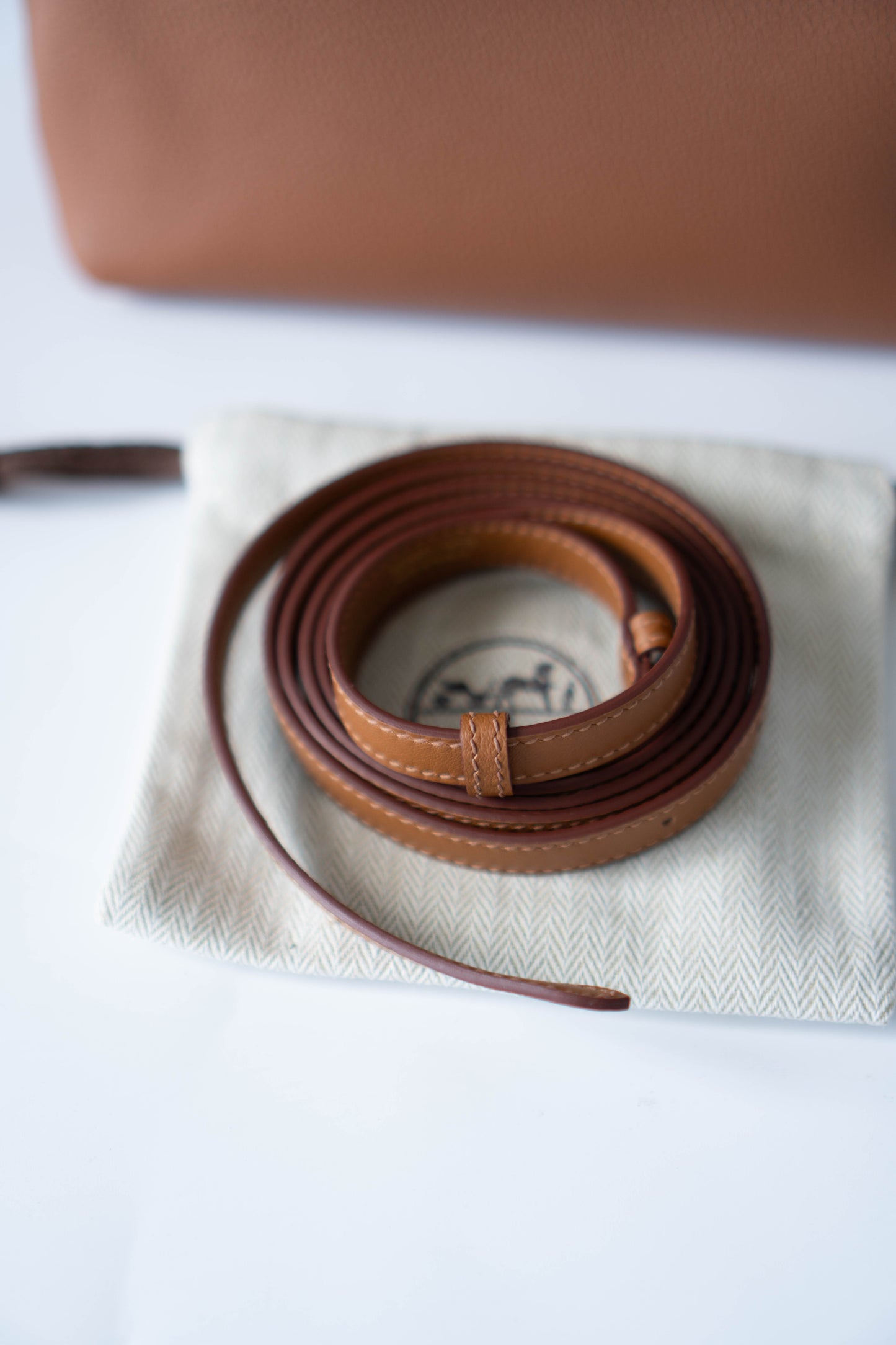 Mini 24/24 in Gold Calfskin With Gold Hardware