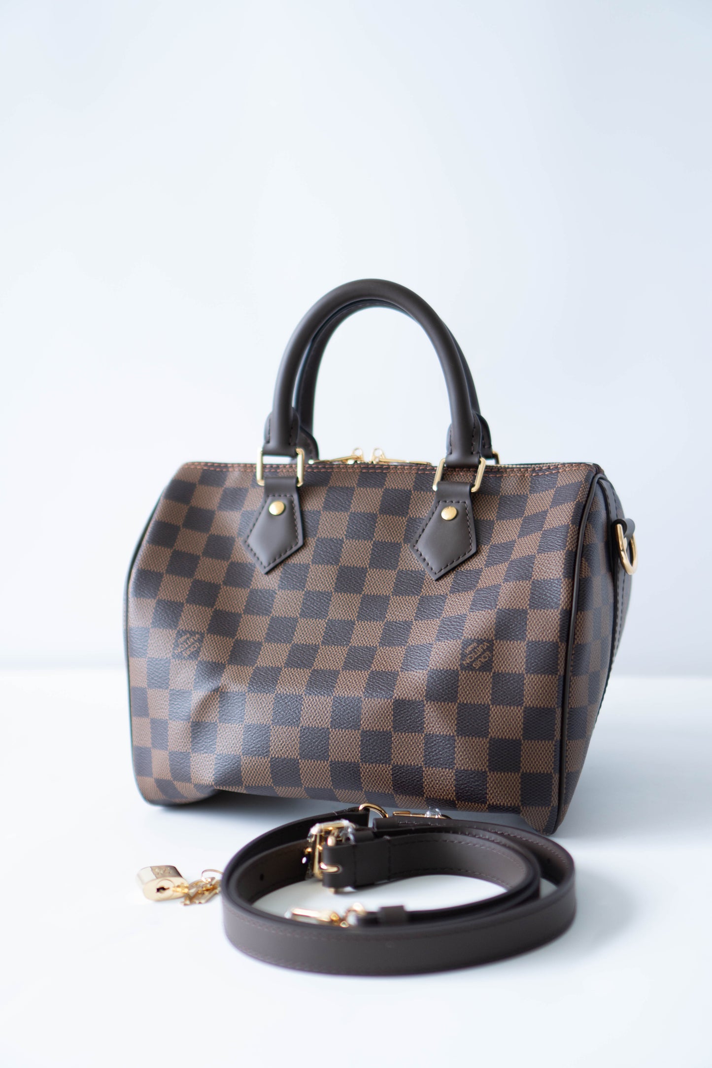 Speedy 25 – Damier Ebene Canvas with Dark Brown Leather Trim