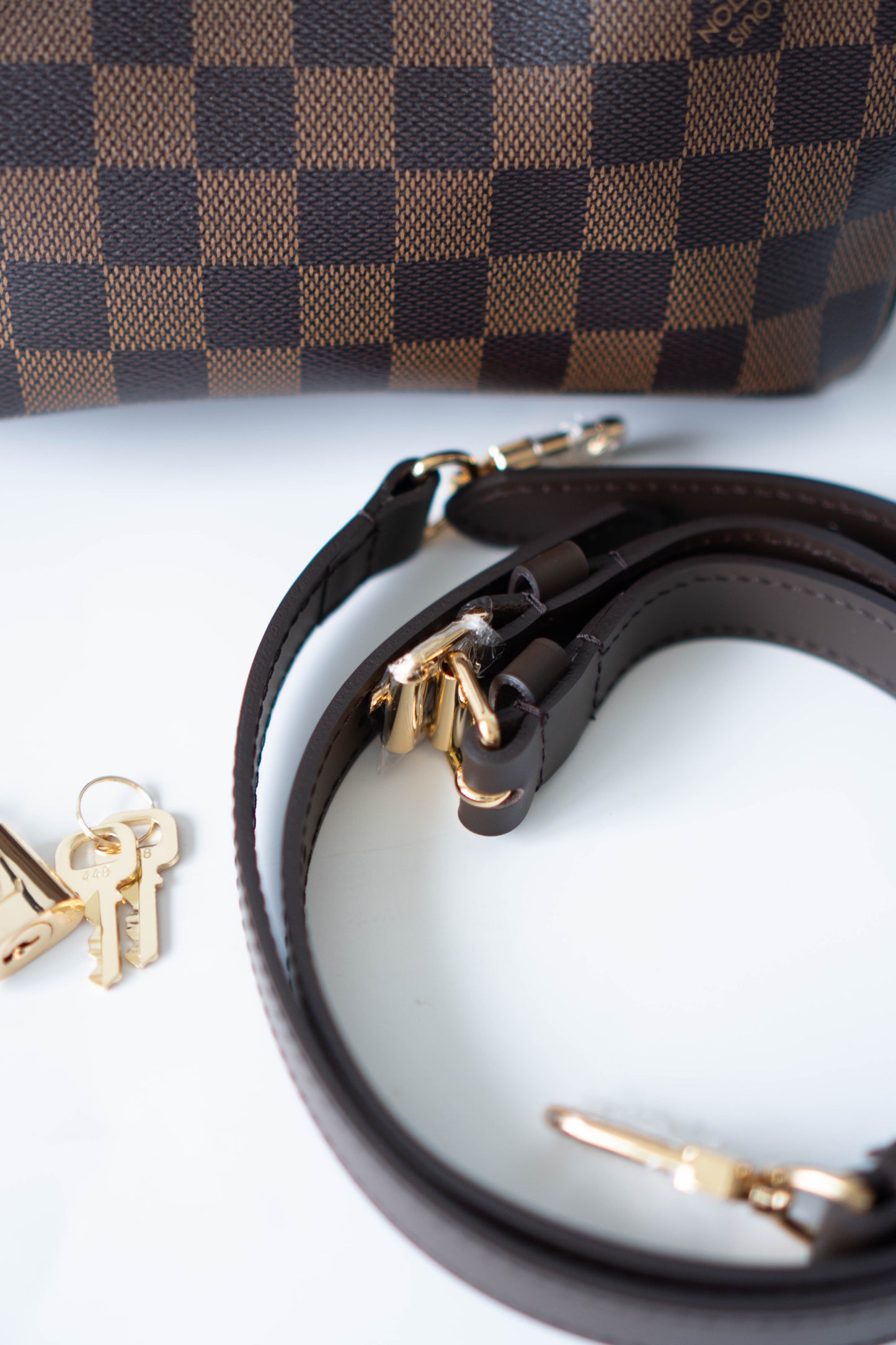 Speedy 25 – Damier Ebene Canvas with Dark Brown Leather Trim