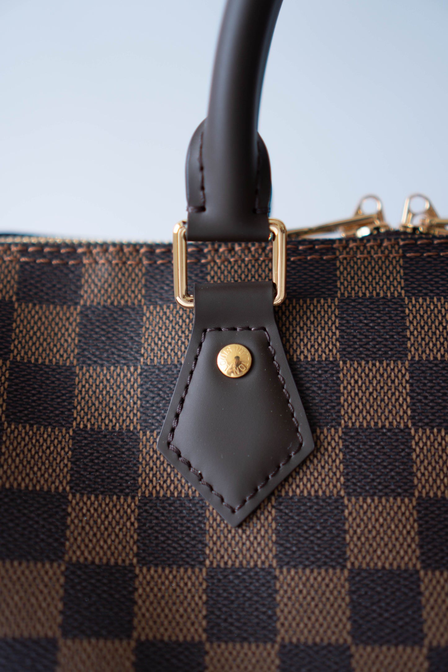 Speedy 25 – Damier Ebene Canvas with Dark Brown Leather Trim