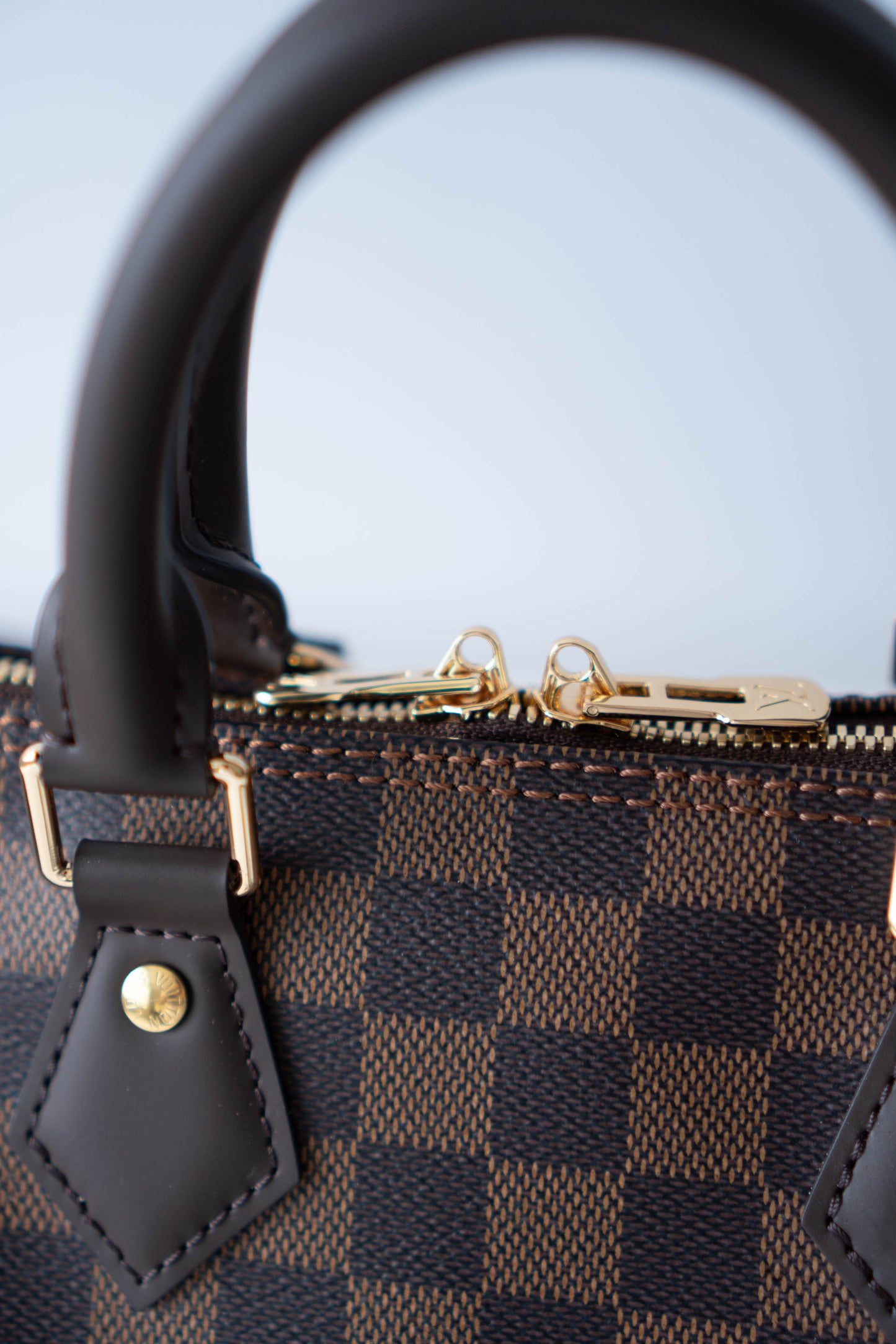Speedy 25 – Damier Ebene Canvas with Dark Brown Leather Trim