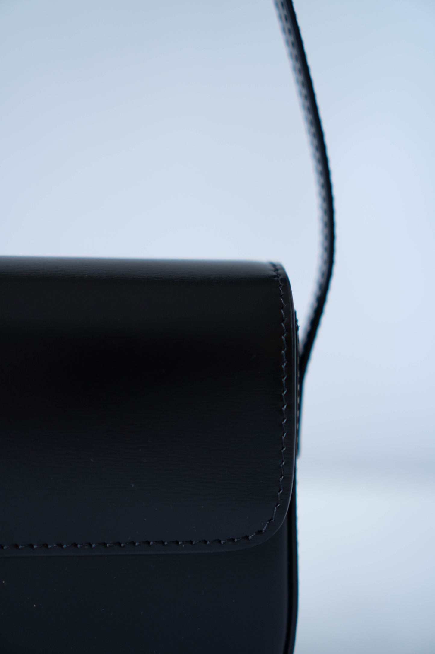 Claud Triomphe in Shiny Calfskin with Gold Hardware