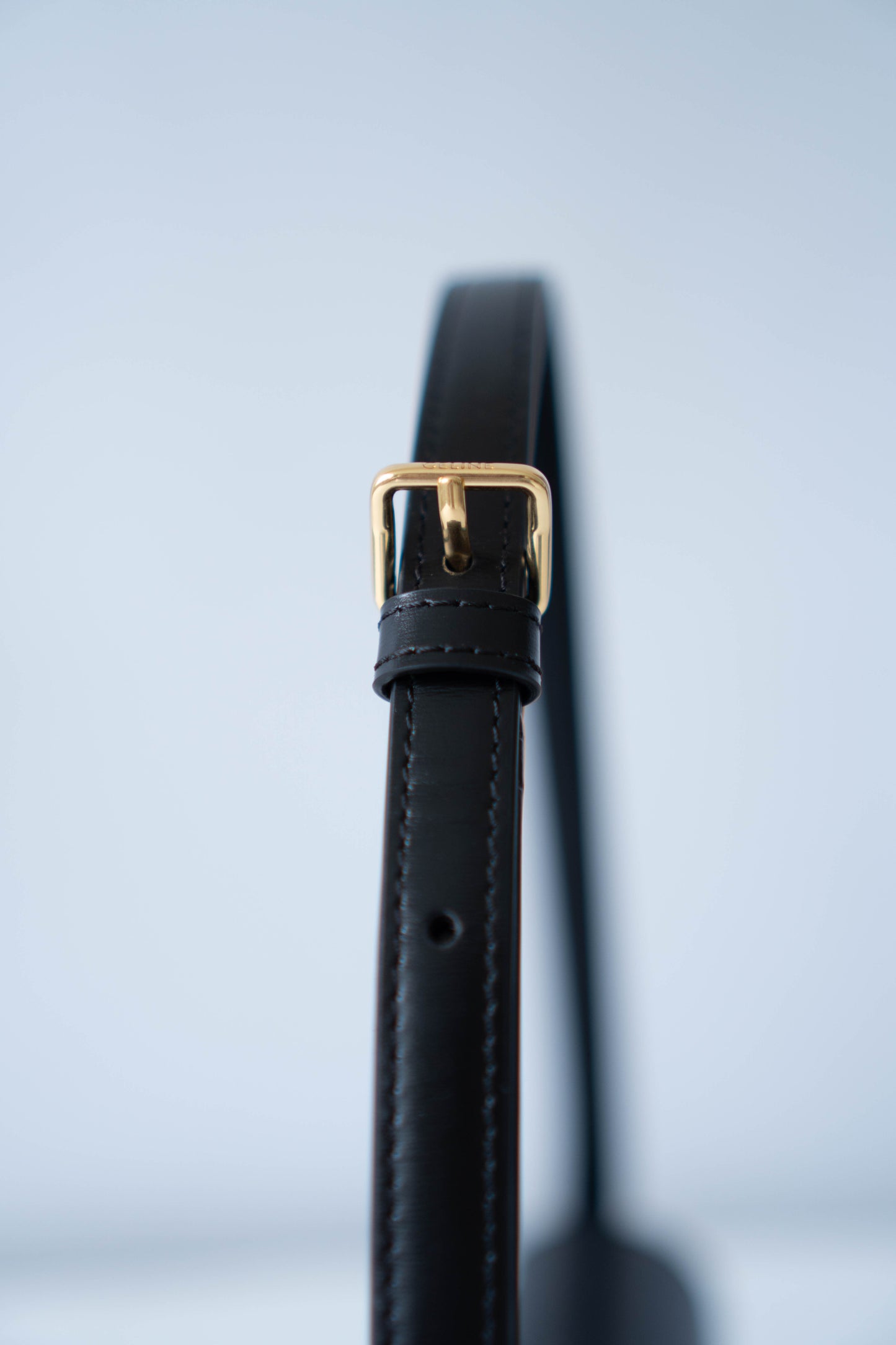Claud Triomphe in Shiny Calfskin with Gold Hardware