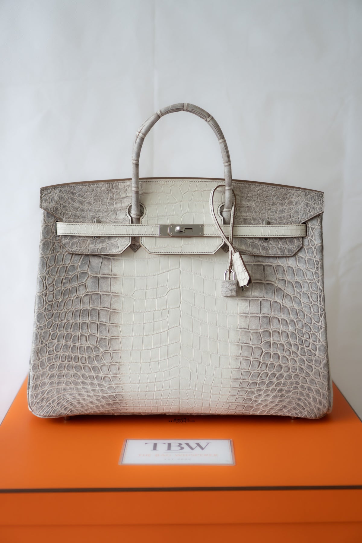 BK 40 – Himalayan Crocodile HSS with Palladium Hardware