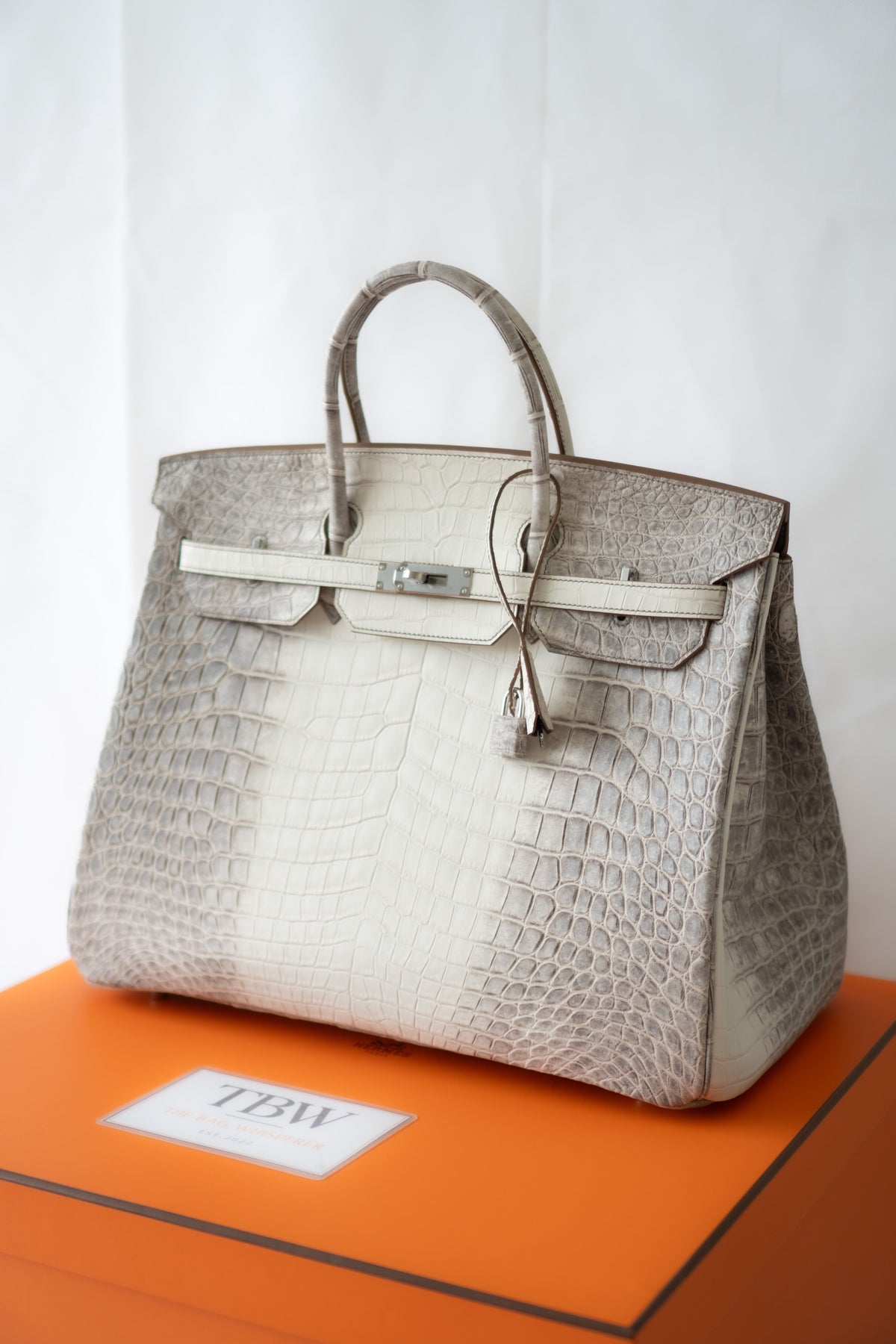 BK 40 – Himalayan Crocodile HSS with Palladium Hardware