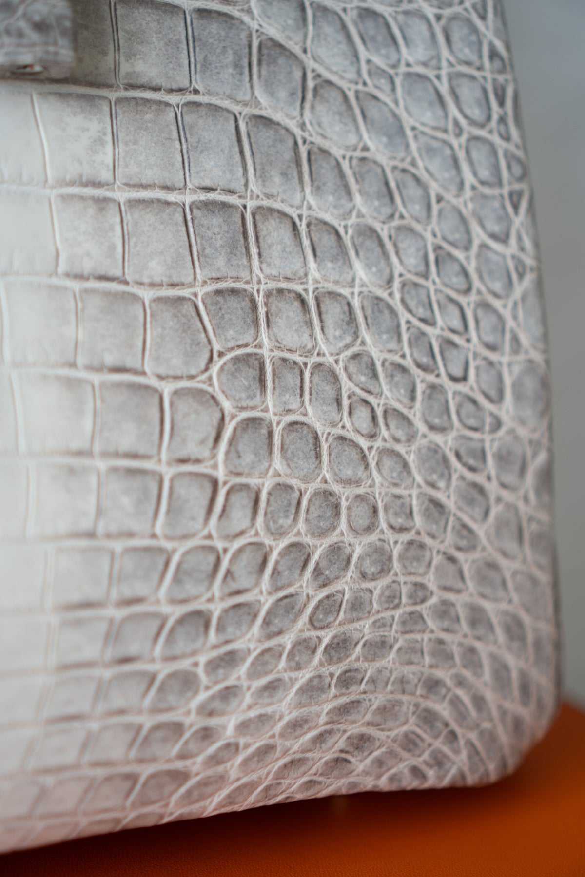 BK 40 – Himalayan Crocodile HSS with Palladium Hardware