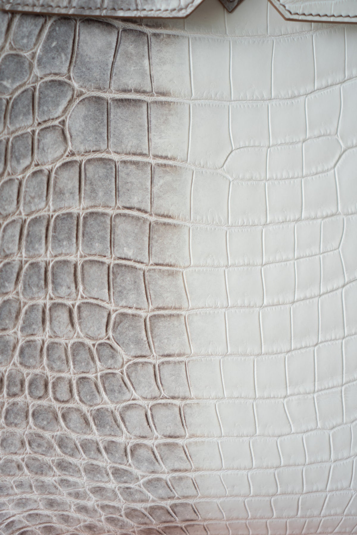 BK 40 – Himalayan Crocodile HSS with Palladium Hardware