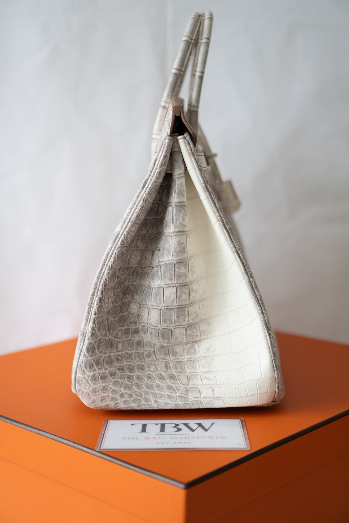BK 40 – Himalayan Crocodile HSS with Palladium Hardware