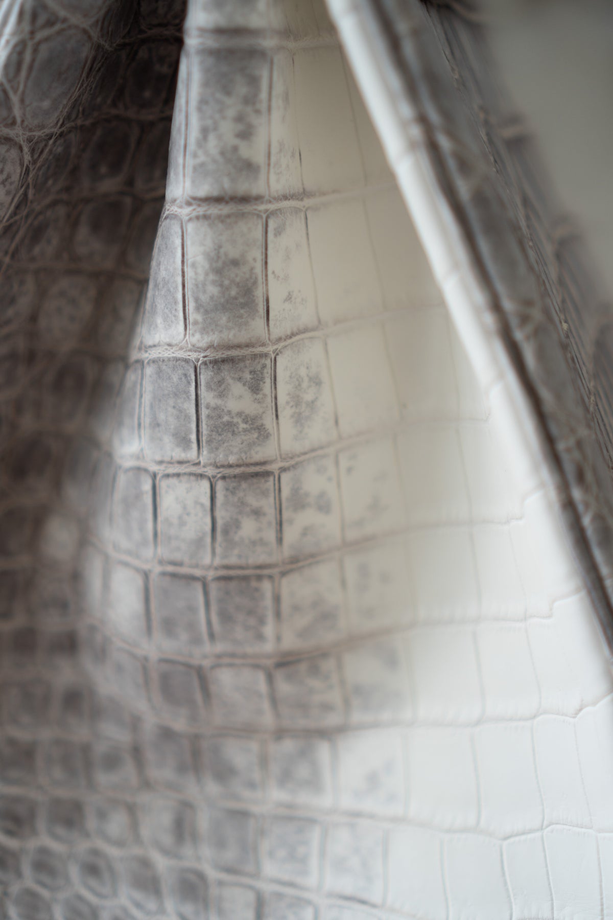 BK 40 – Himalayan Crocodile HSS with Palladium Hardware