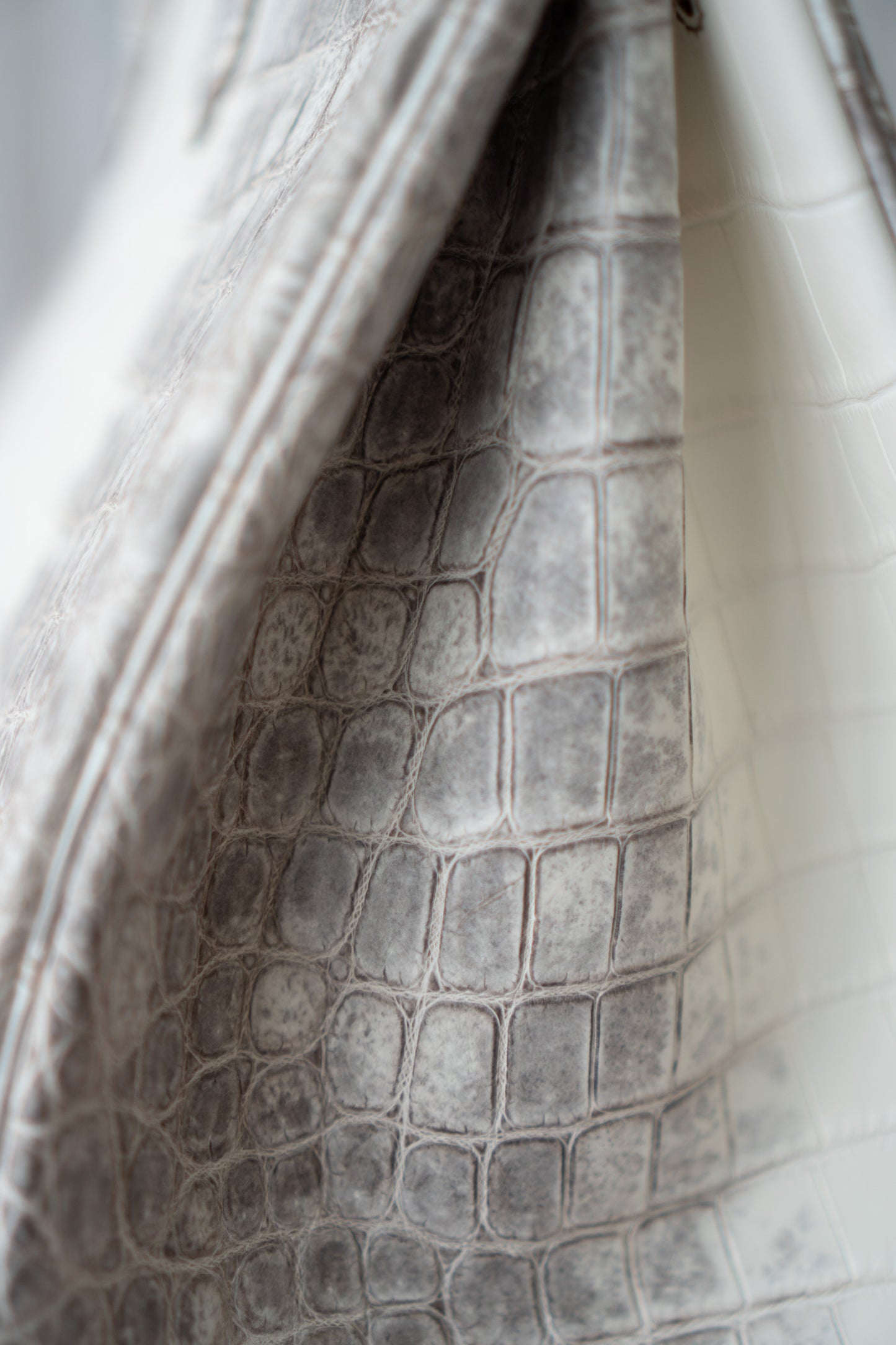 BK 40 – Himalayan Crocodile HSS with Palladium Hardware