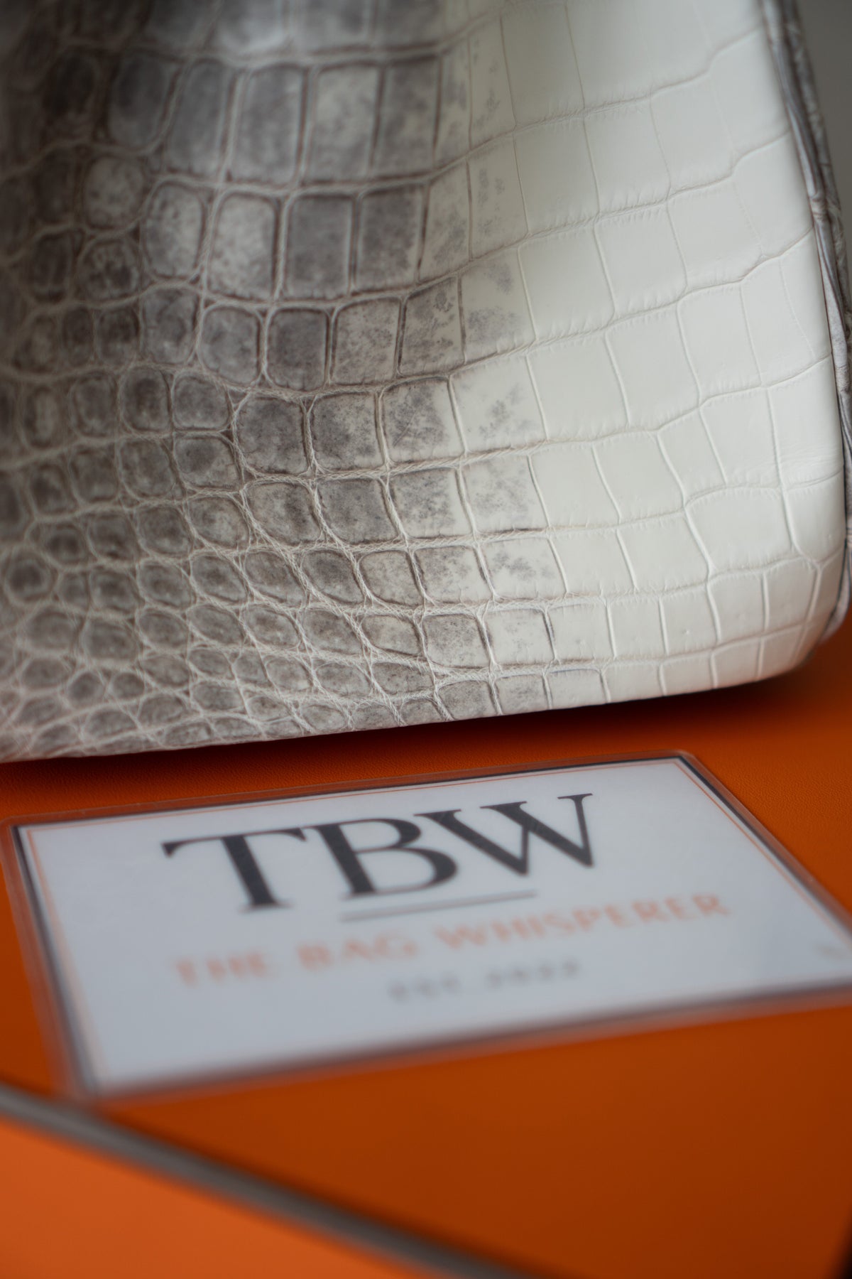 BK 40 – Himalayan Crocodile HSS with Palladium Hardware