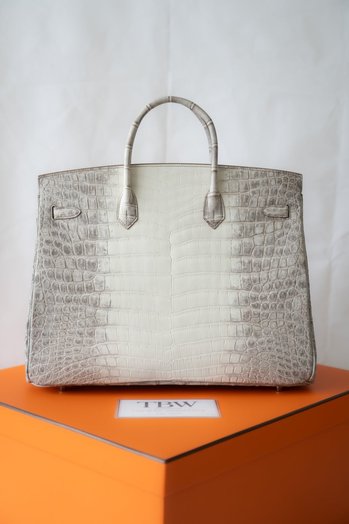 BK 40 – Himalayan Crocodile HSS with Palladium Hardware