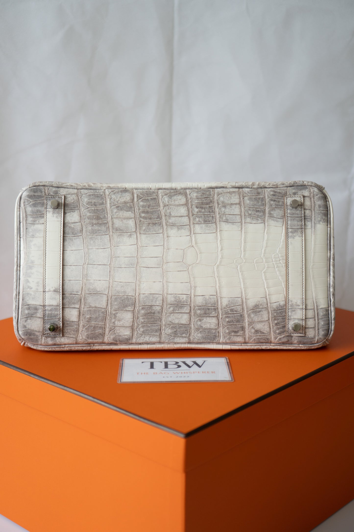 BK 40 – Himalayan Crocodile HSS with Palladium Hardware