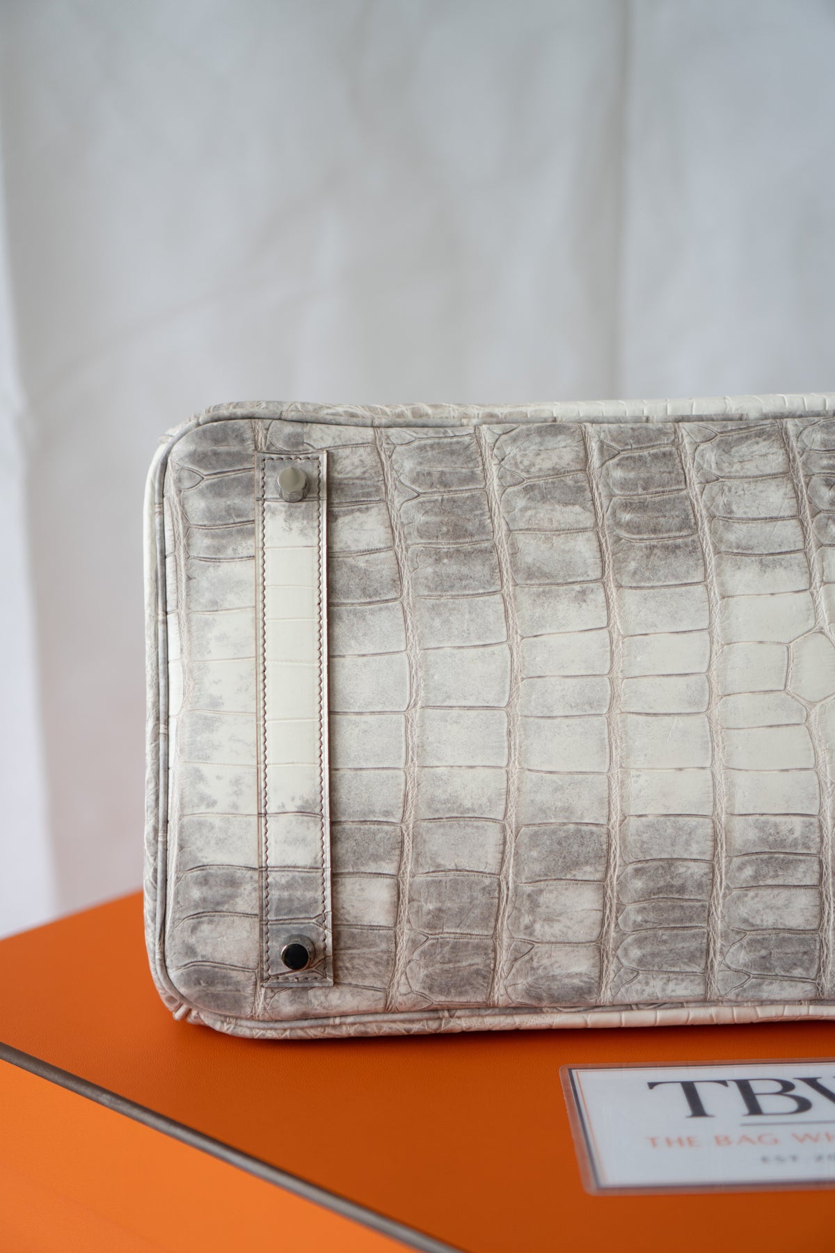 BK 40 – Himalayan Crocodile HSS with Palladium Hardware