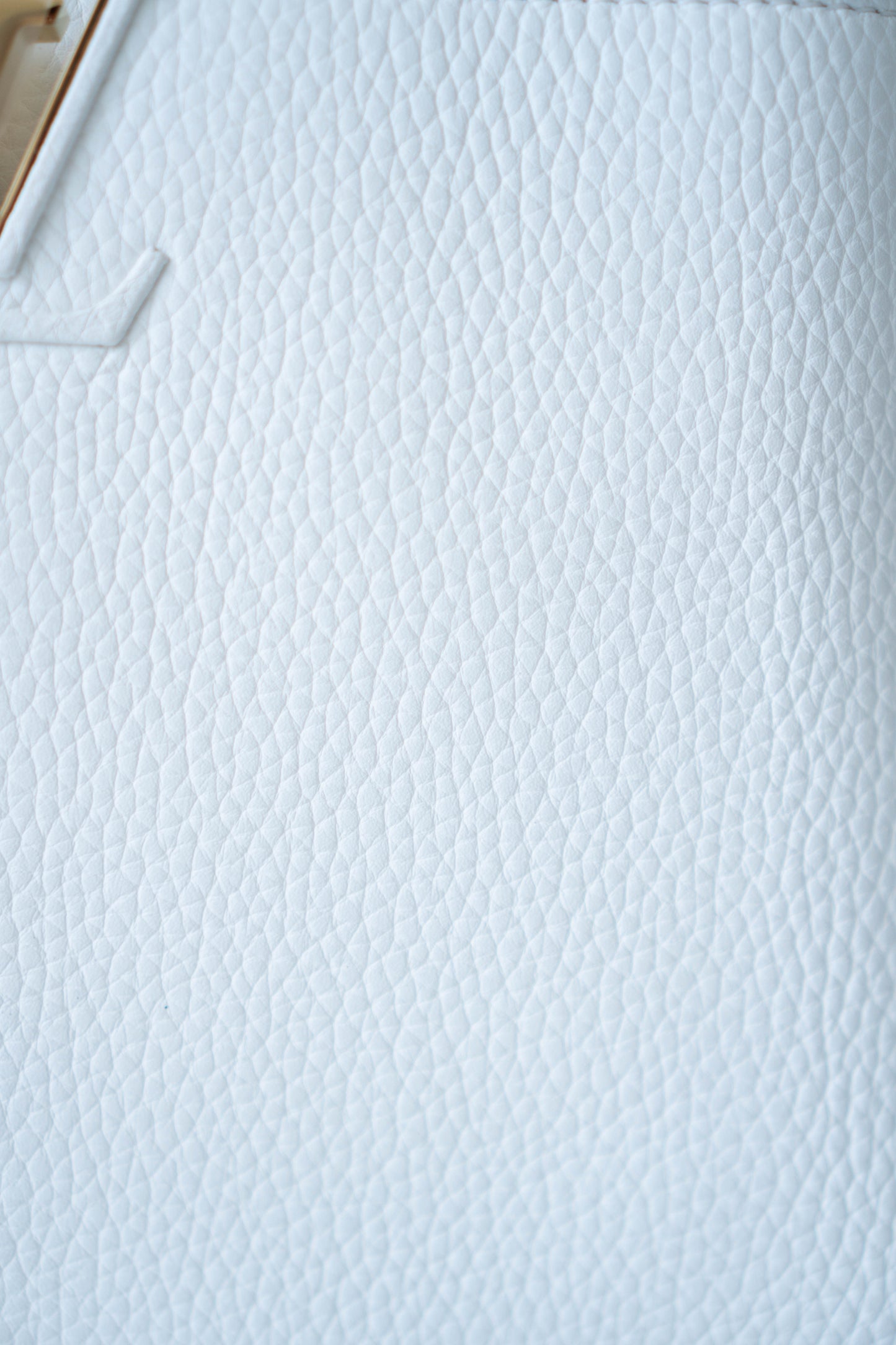 Capucine BB in Snow White Taurillon Leather With Gold Hardware