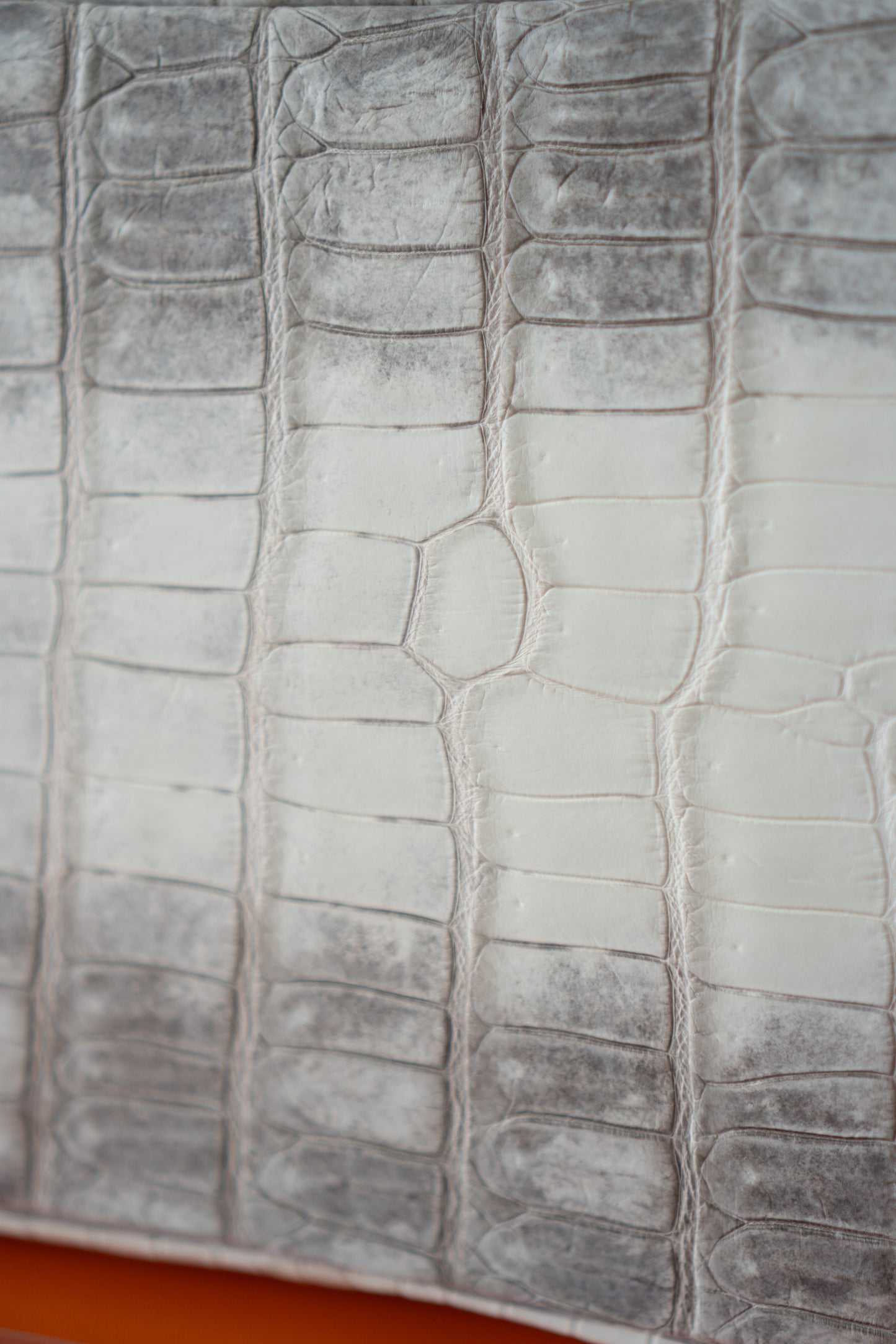 BK 40 – Himalayan Crocodile HSS with Palladium Hardware