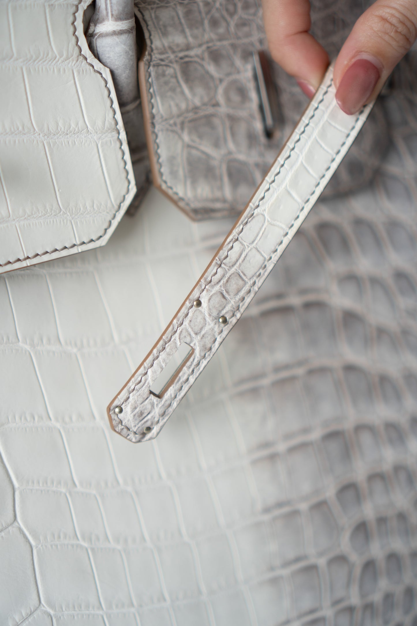 BK 40 – Himalayan Crocodile HSS with Palladium Hardware