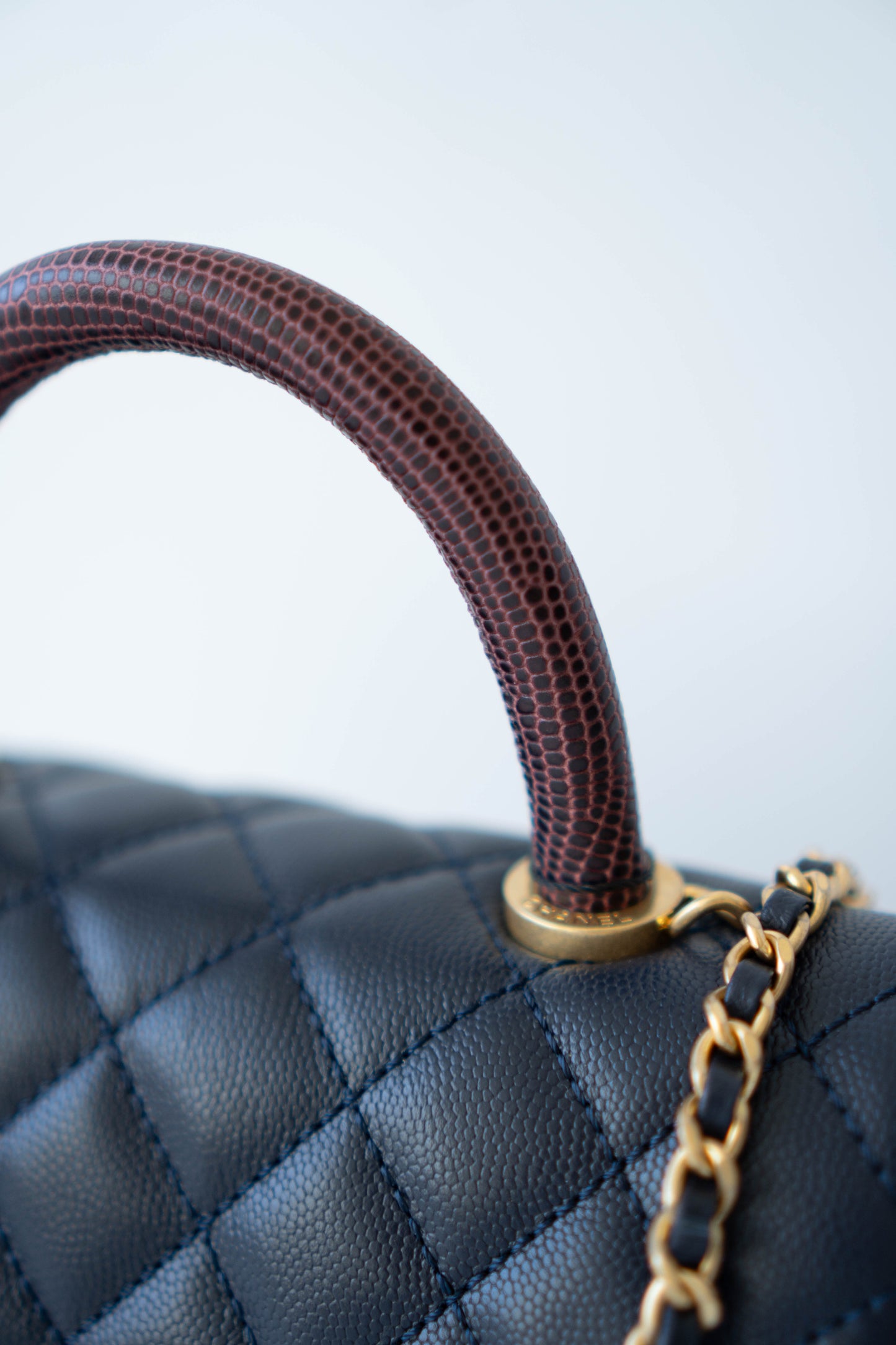Coco Handle Small Navy Blue Caviar Leather & Snake Skin Handle with Gold Hardware