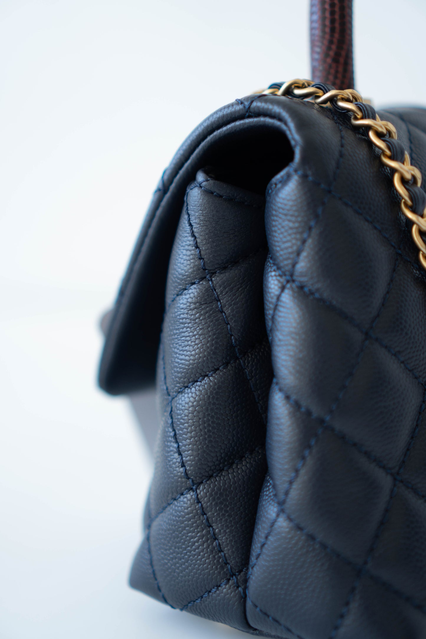 Coco Handle Small Navy Blue Caviar Leather & Snake Skin Handle with Gold Hardware