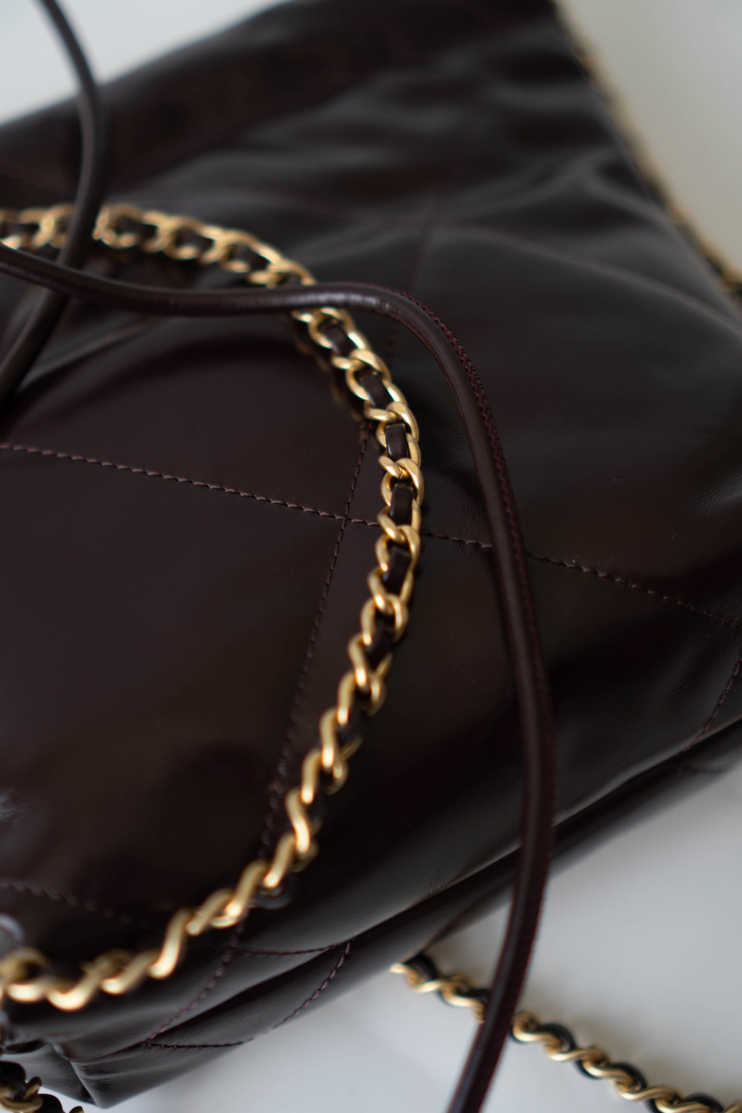 C22 Dark Brown in Mini Shiny Calfskin with Gold Hardware