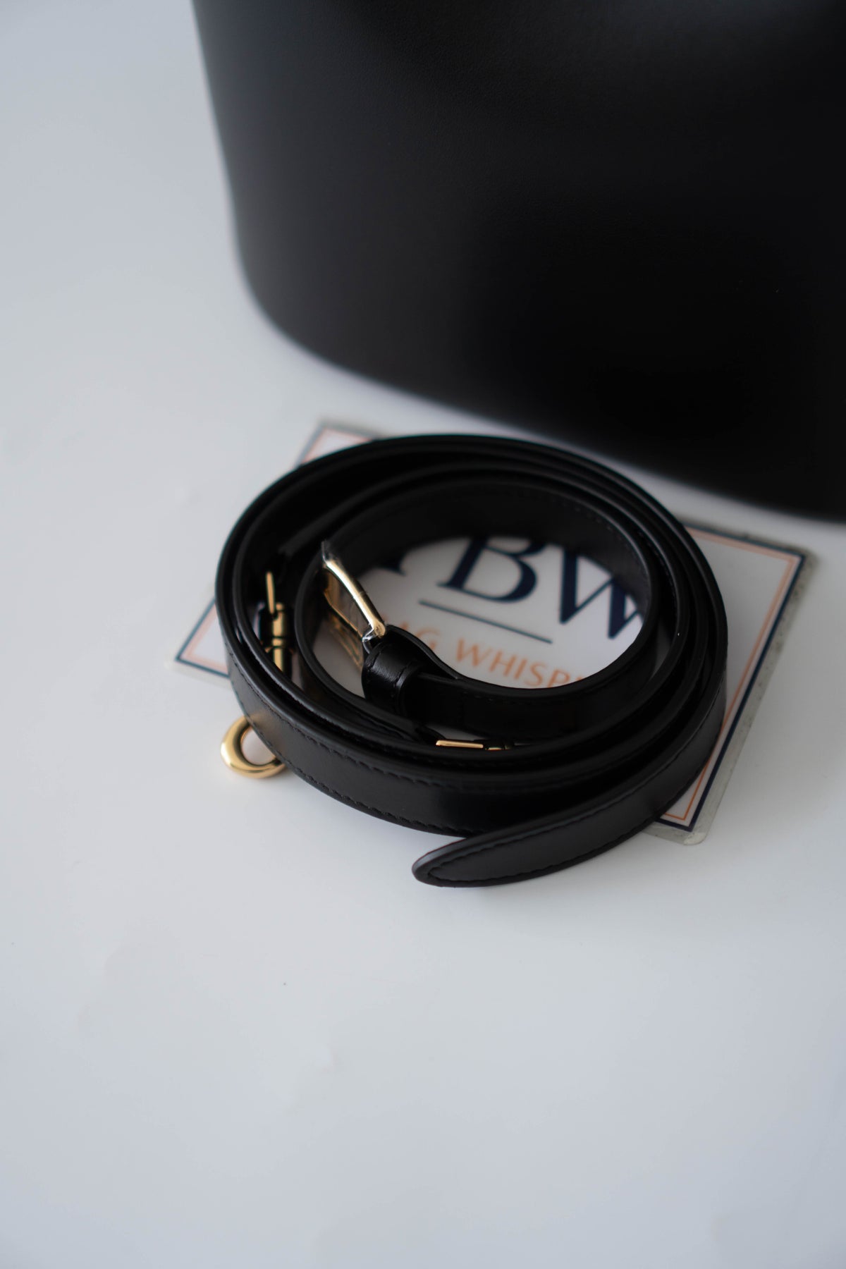 Triomphe Medium Bucket Bag – Black Smooth Calfskin in Gold Hardware