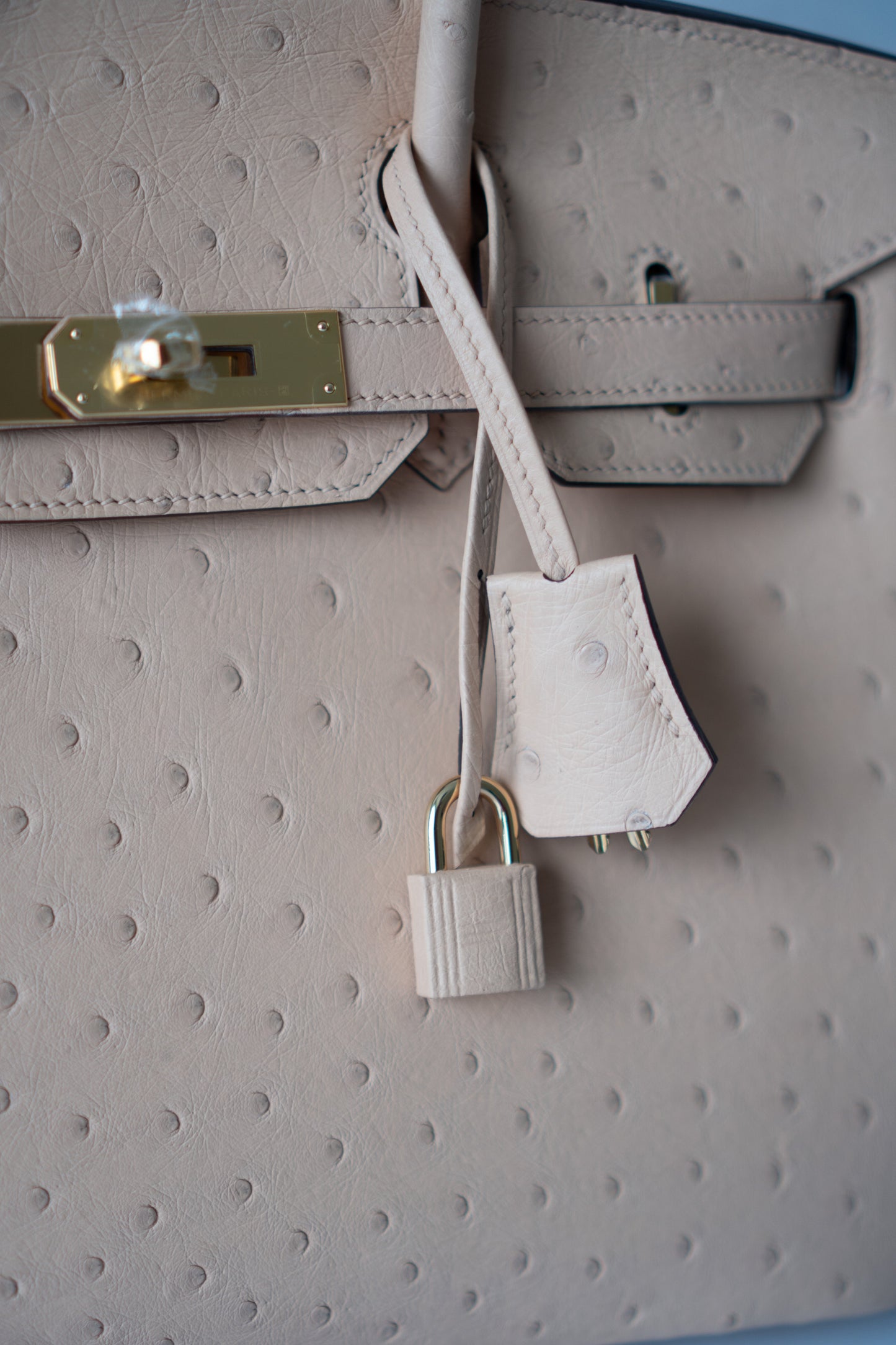 BK 30 – Chai Ostrich with Gold Hardware