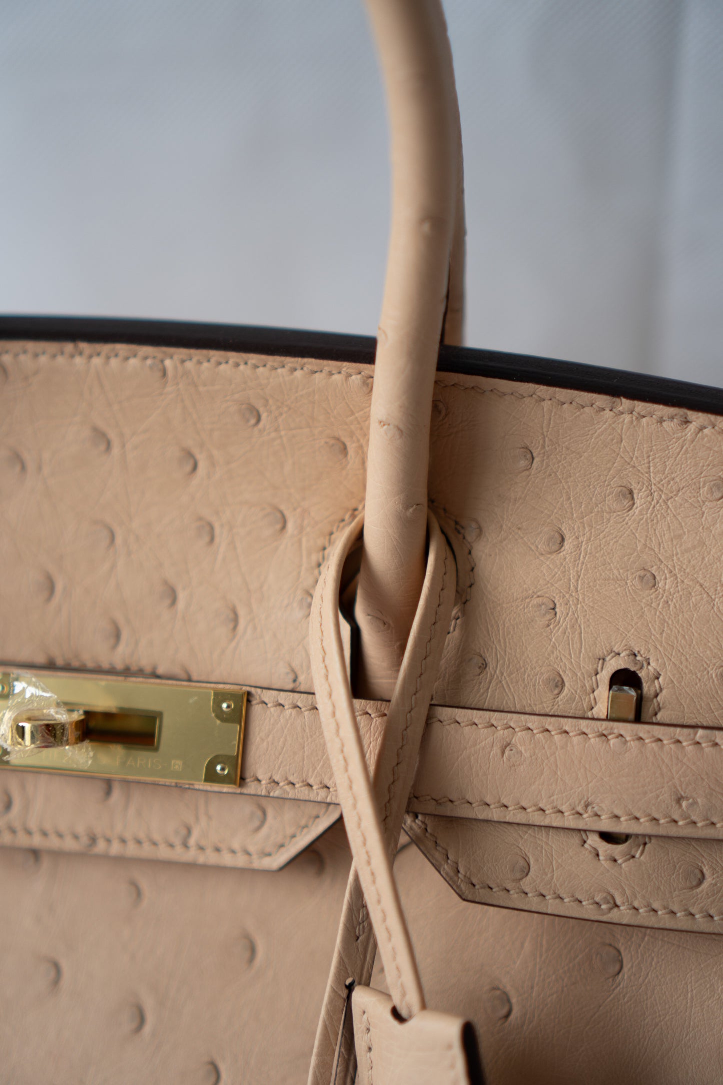 BK 30 – Chai Ostrich with Gold Hardware