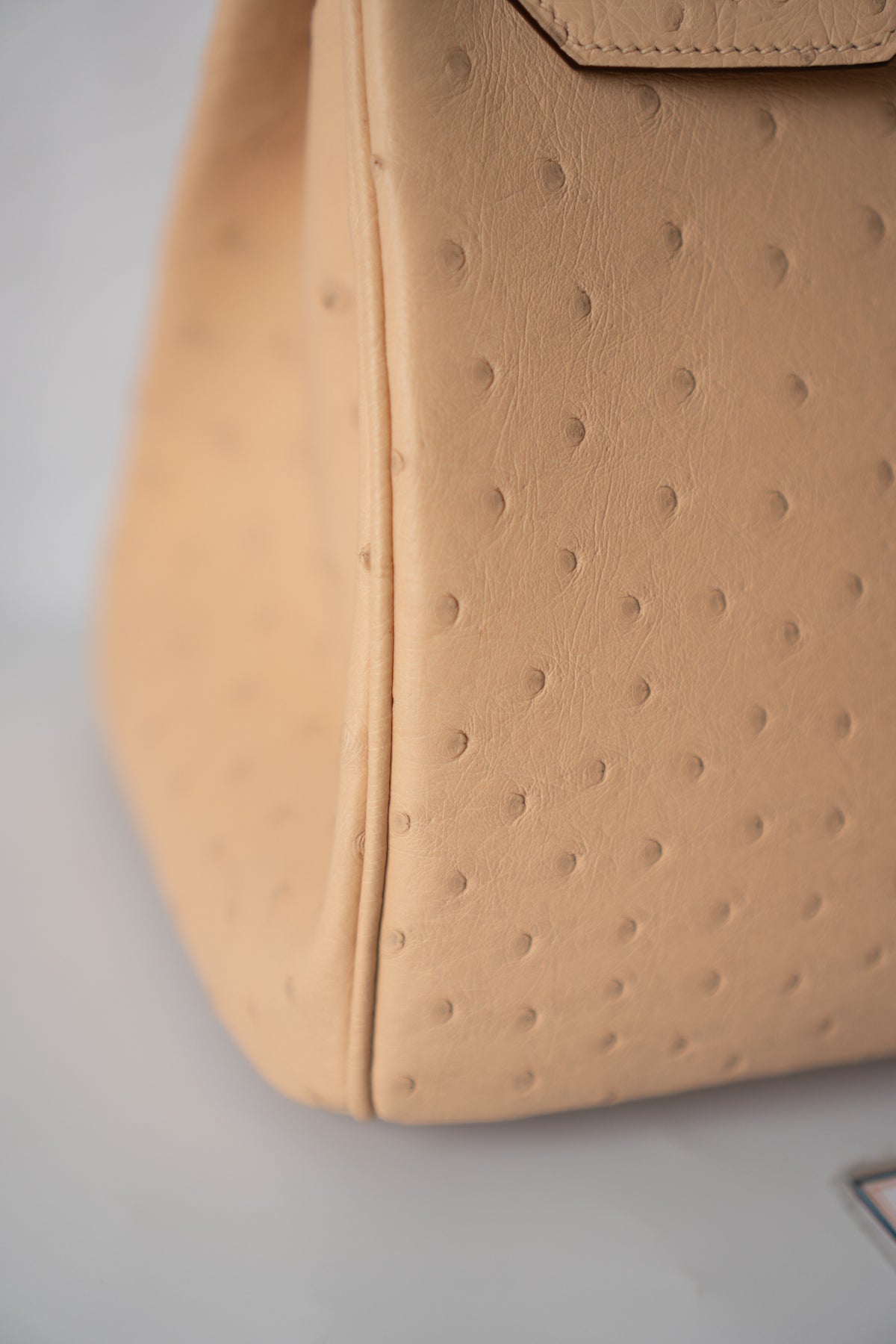 BK 30 – Chai Ostrich with Gold Hardware
