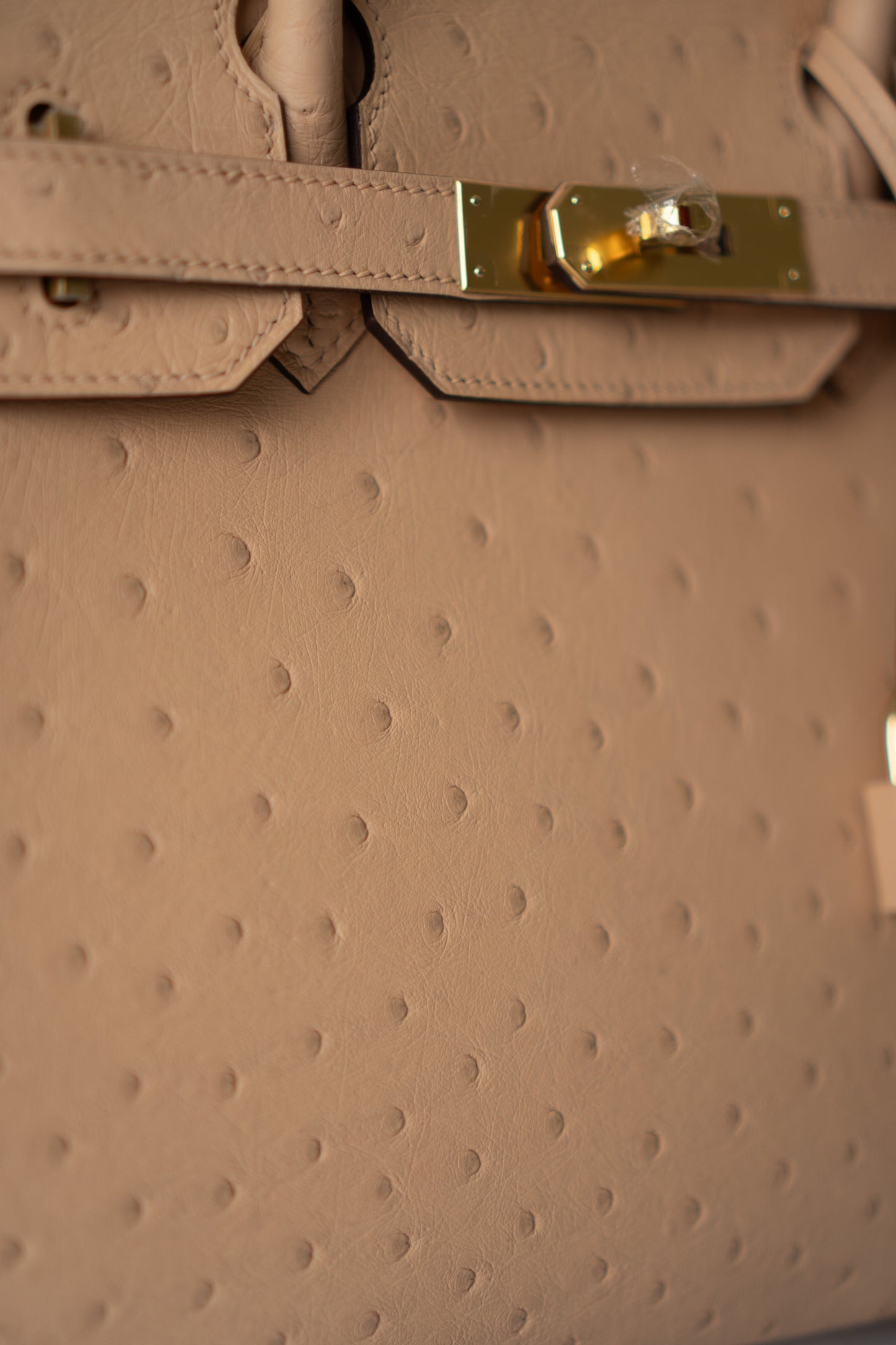 BK 30 – Chai Ostrich with Gold Hardware