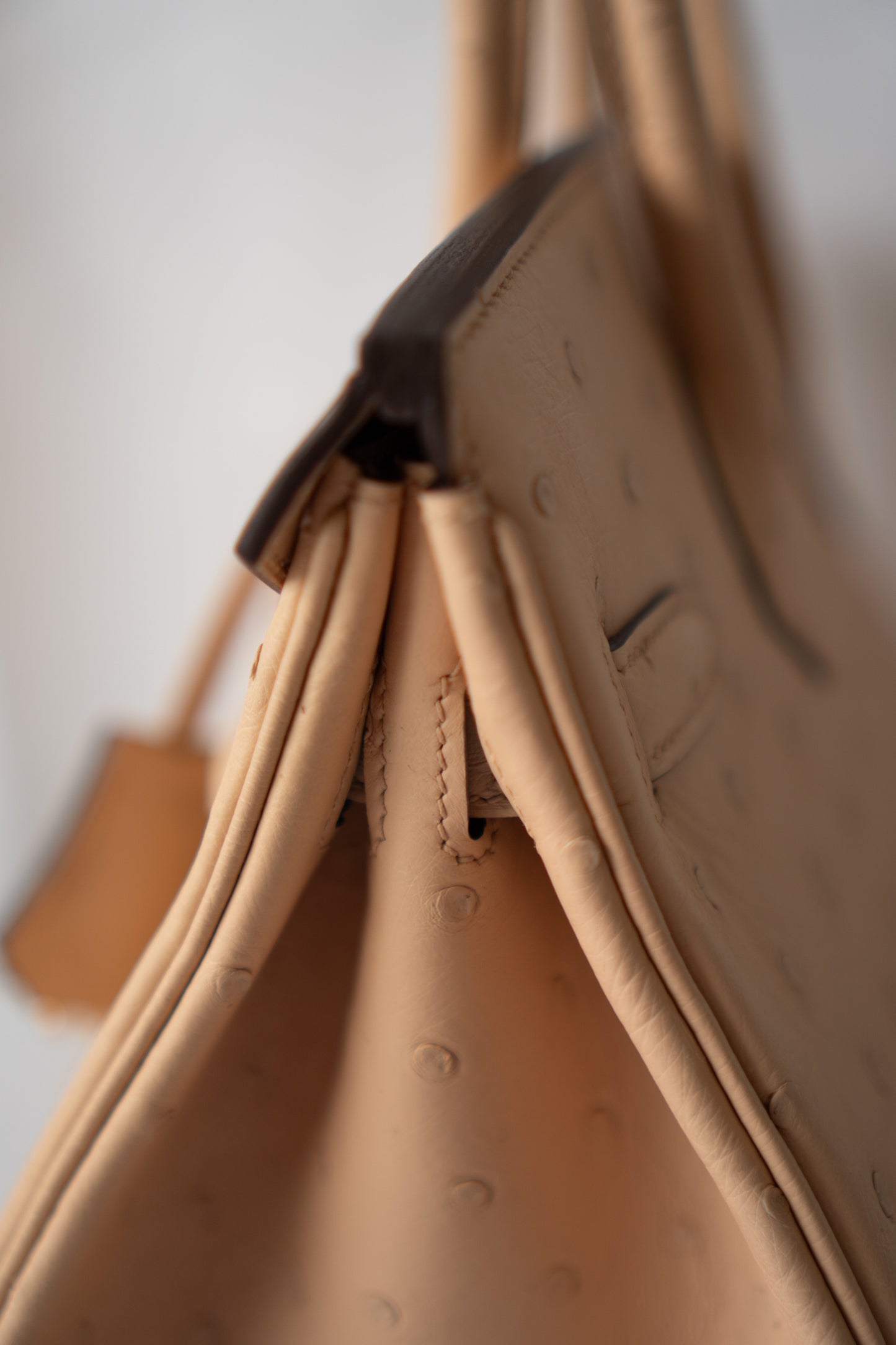 BK 30 – Chai Ostrich with Gold Hardware