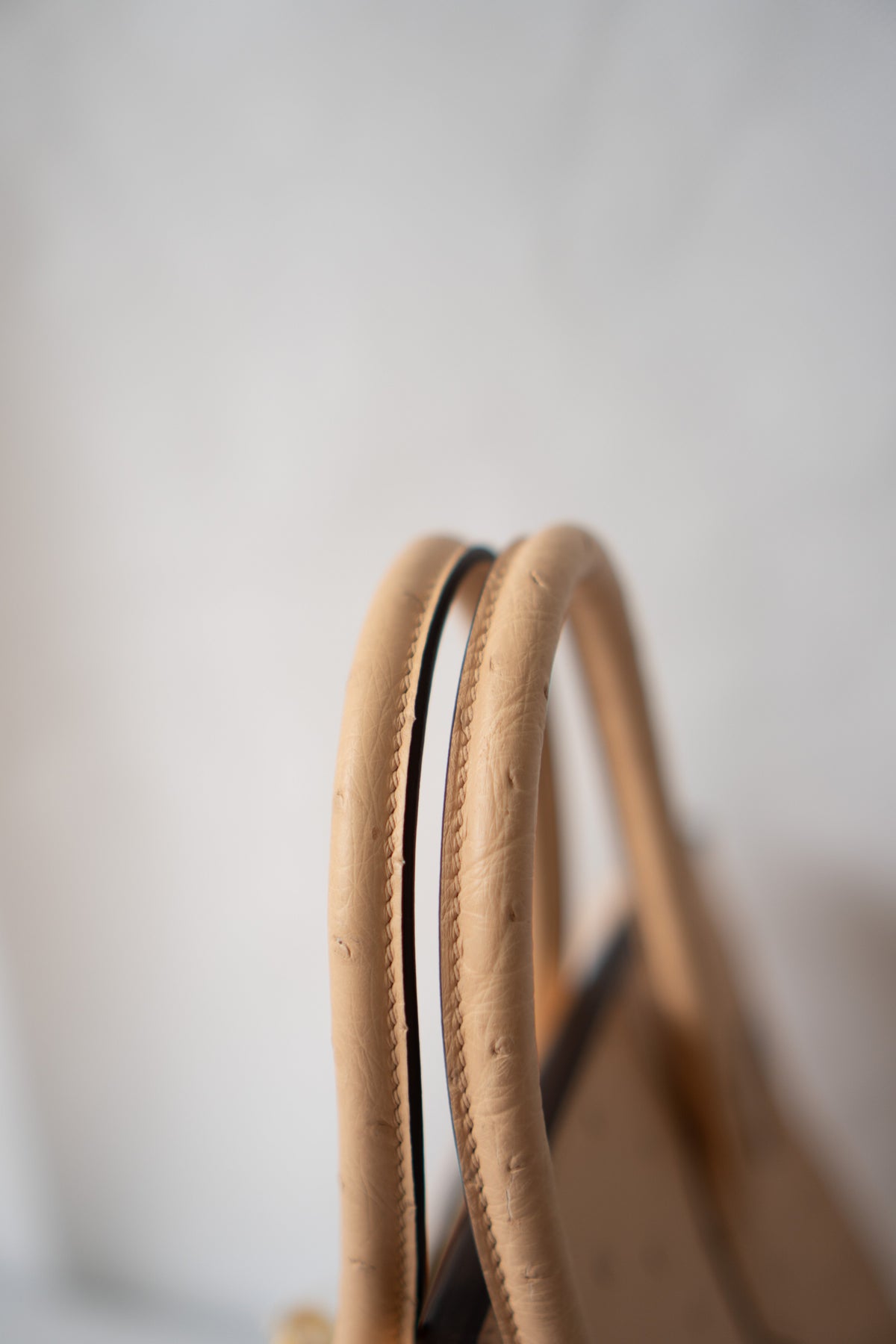 BK 30 – Chai Ostrich with Gold Hardware