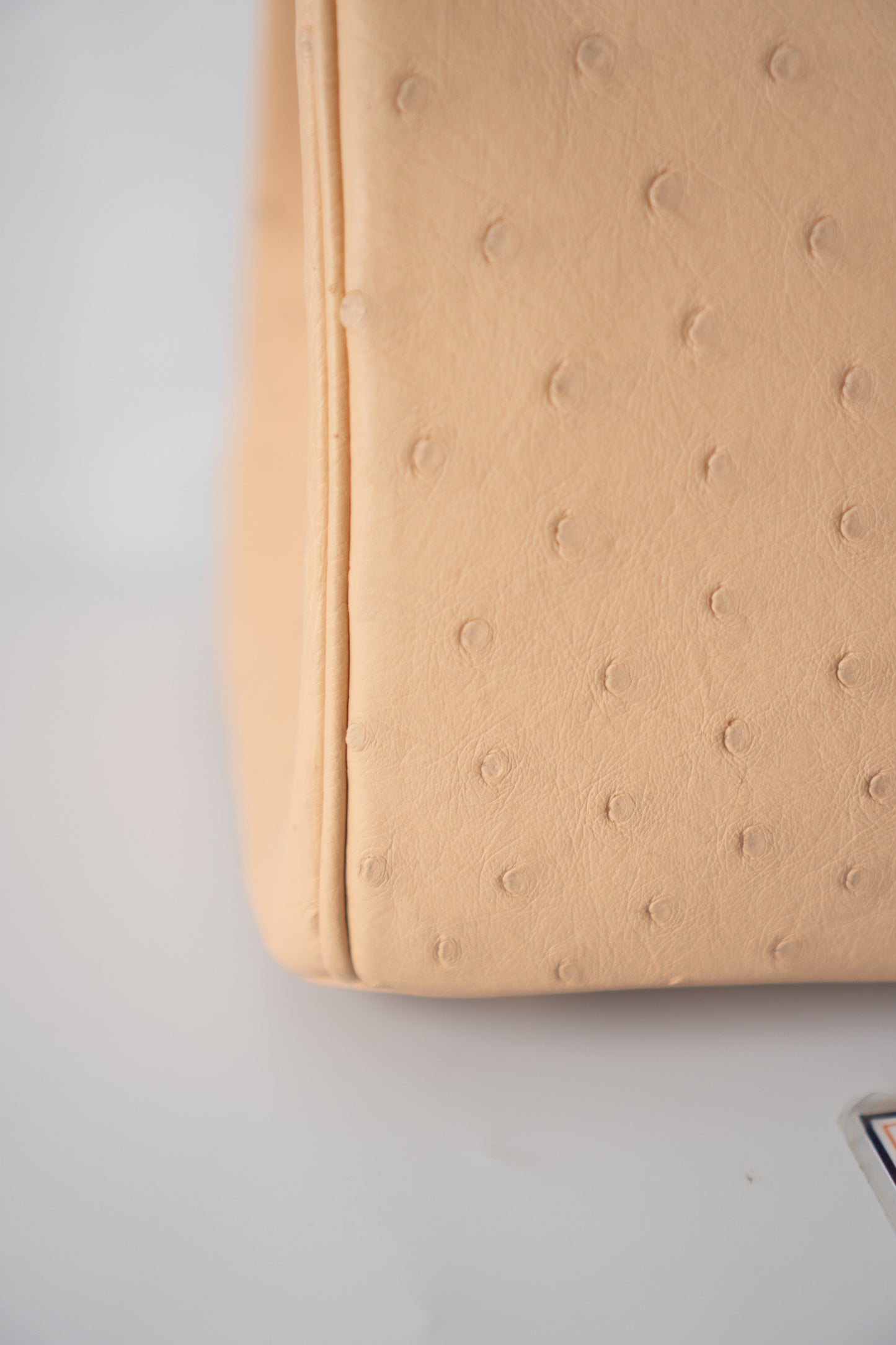 BK 30 – Chai Ostrich with Gold Hardware