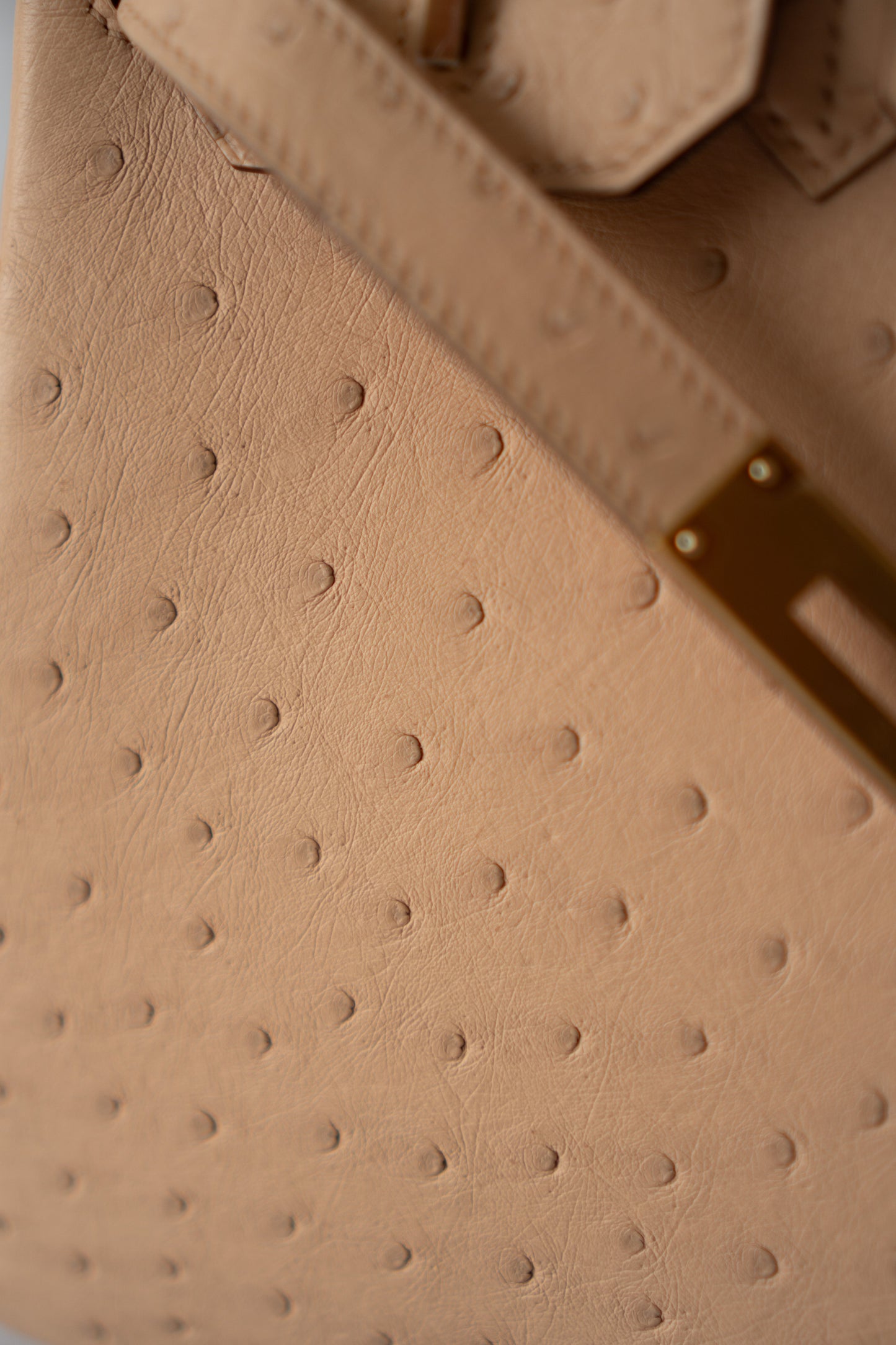 BK 30 – Chai Ostrich with Gold Hardware