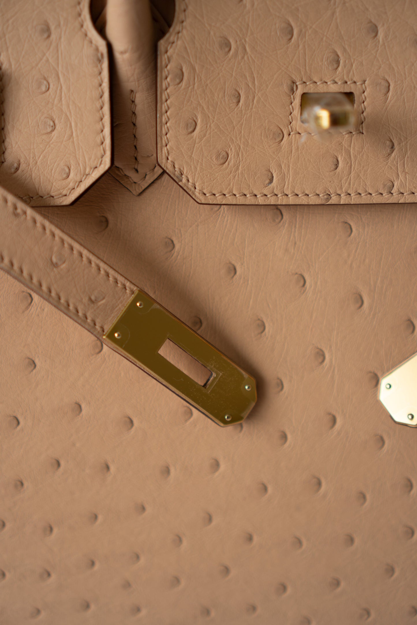 BK 30 – Chai Ostrich with Gold Hardware