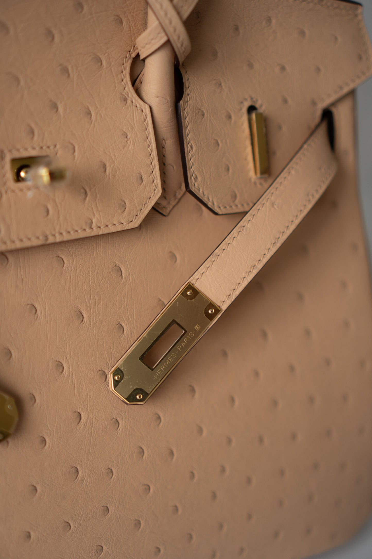 BK 30 – Chai Ostrich with Gold Hardware