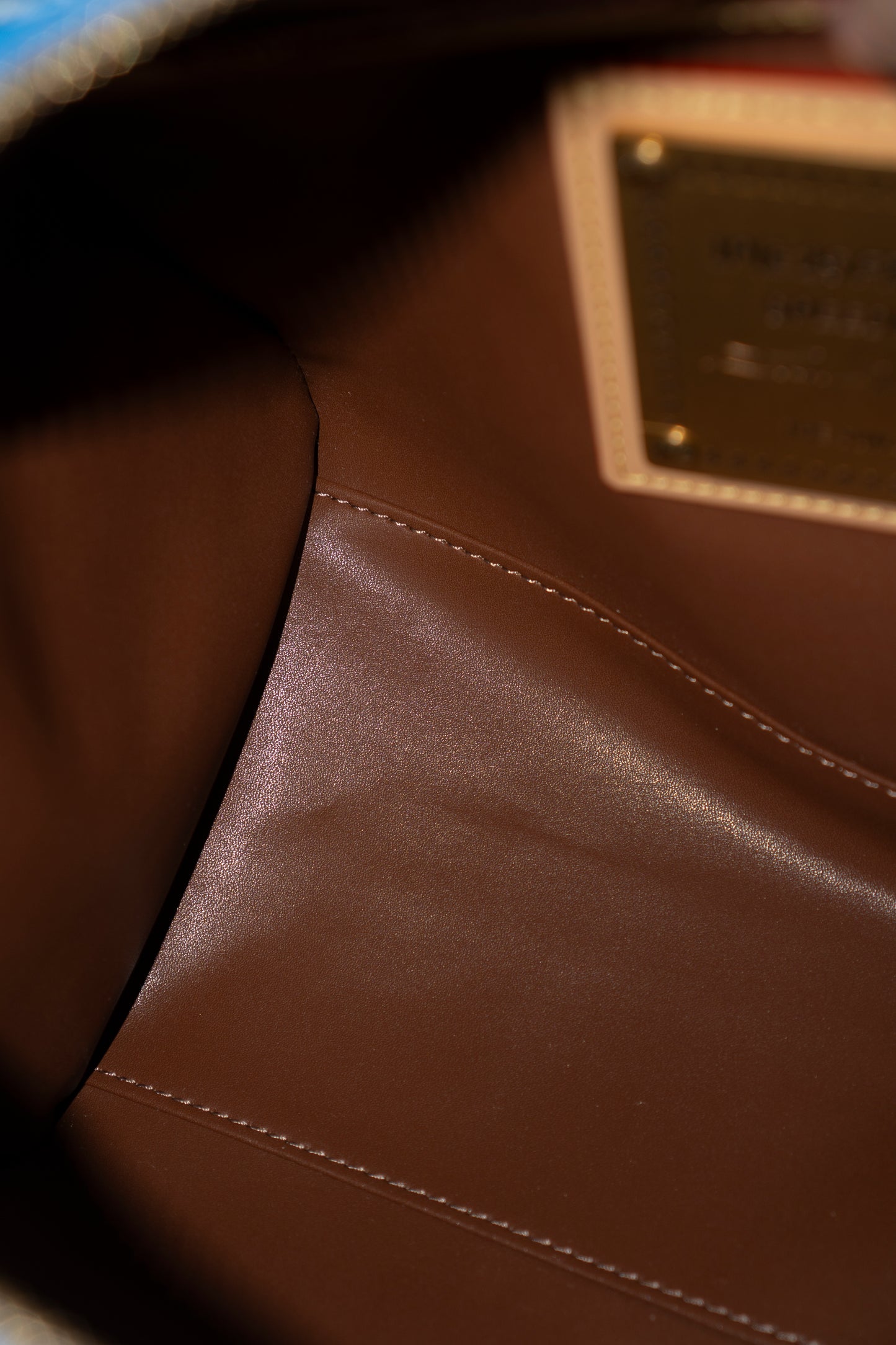 Speedy P9 Bandoulière 25 in Blue Calfskin