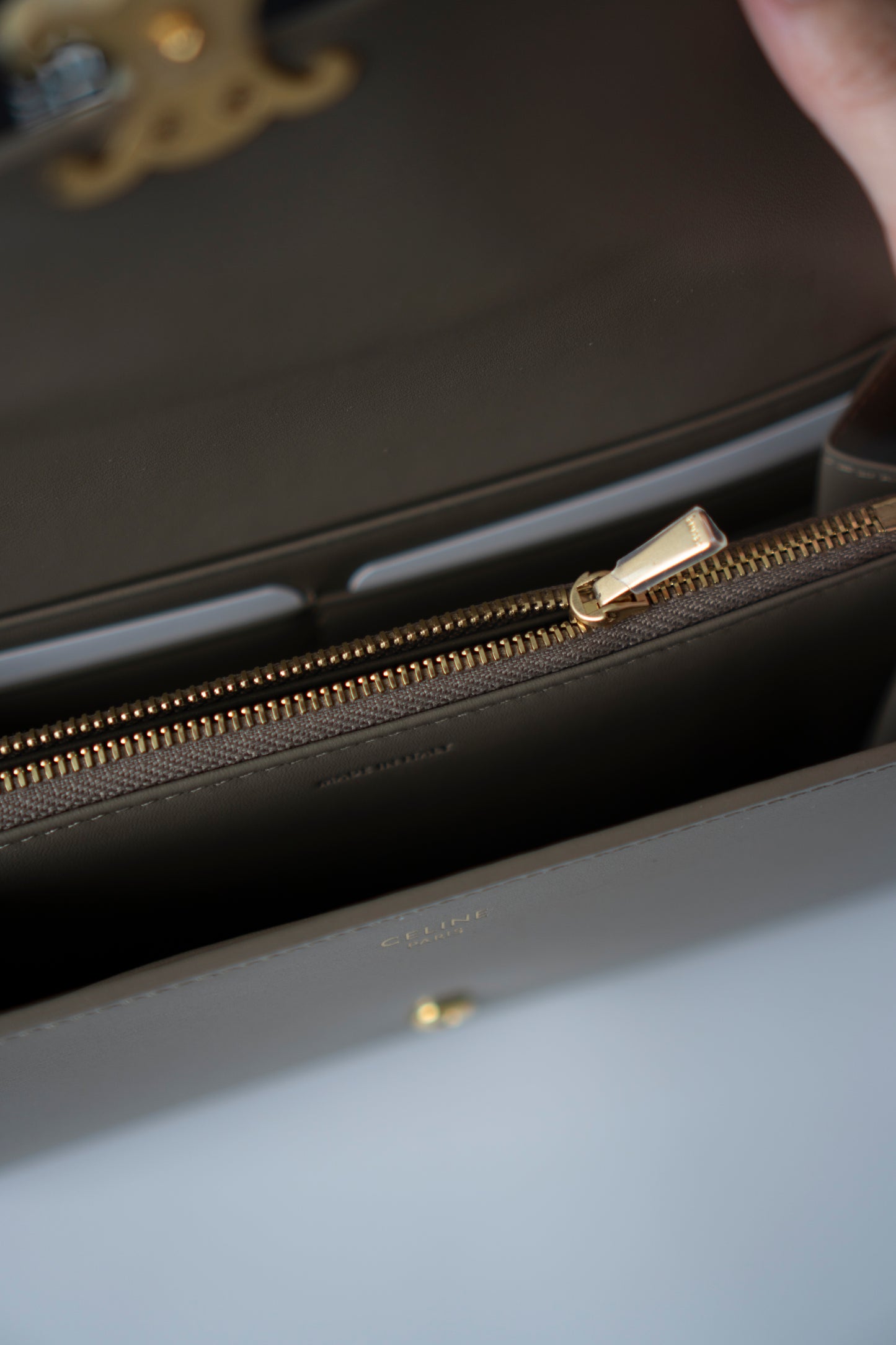 Large Wallet Triomphe in Color Pebble Shiny Calfskin