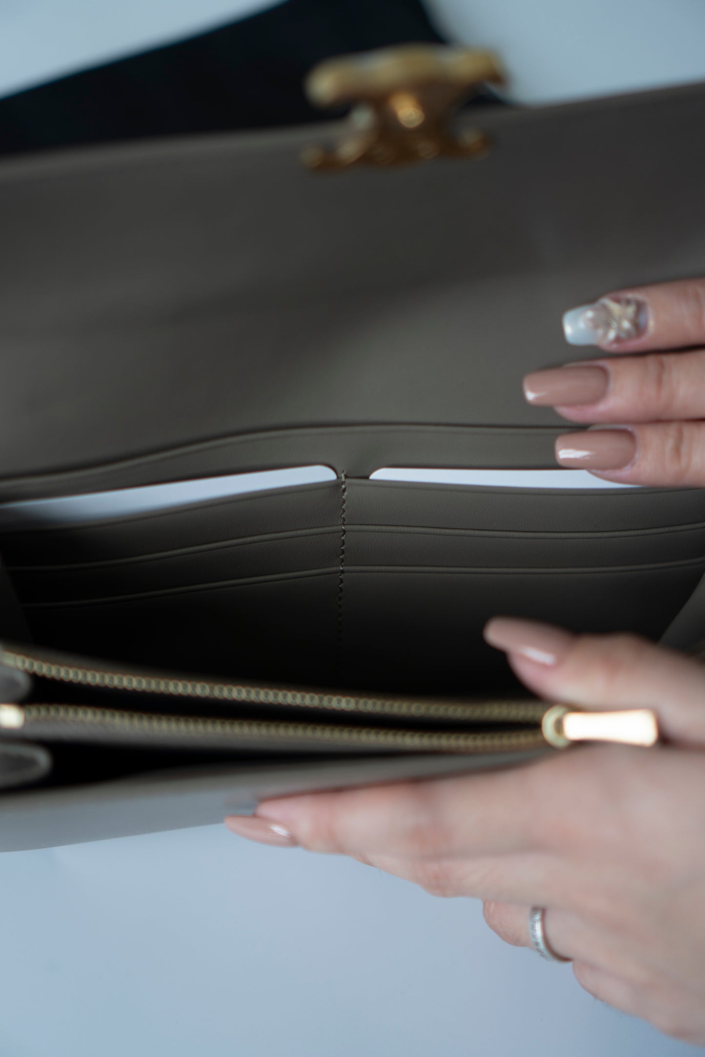 Large Wallet Triomphe in Color Pebble Shiny Calfskin