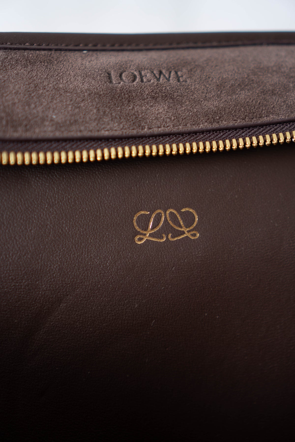 Amazona 180 Bag – Dark Brown Suede & Calfskin Leather with Gold Hardware