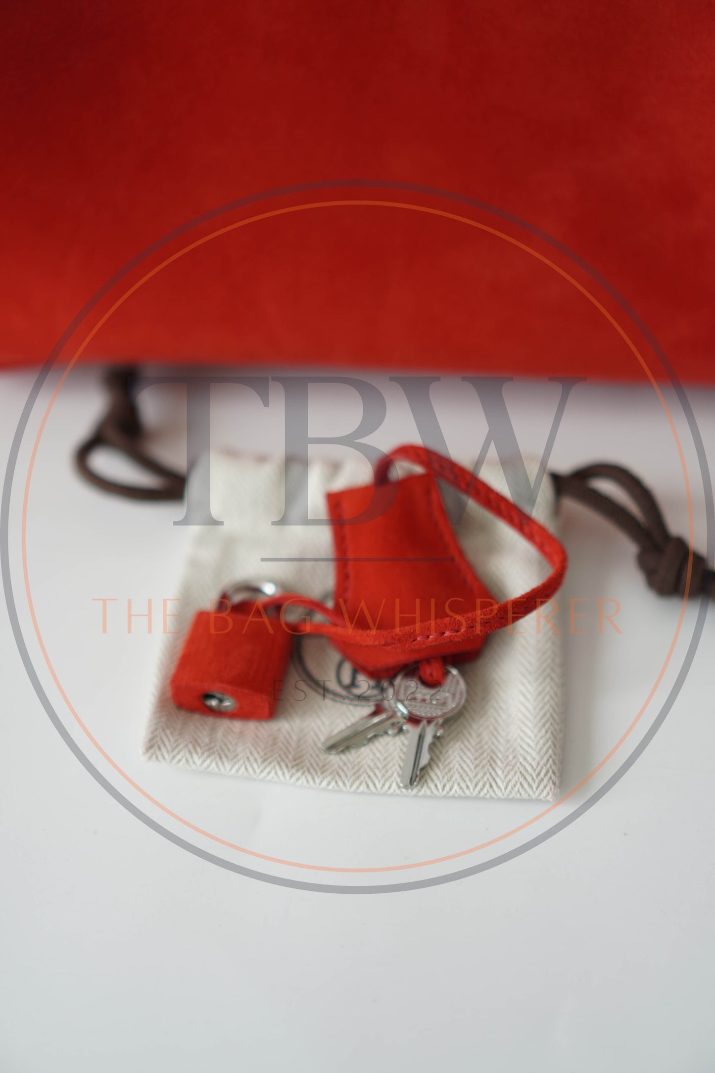 Birkin 25 Doblis in Rouge Vif suede